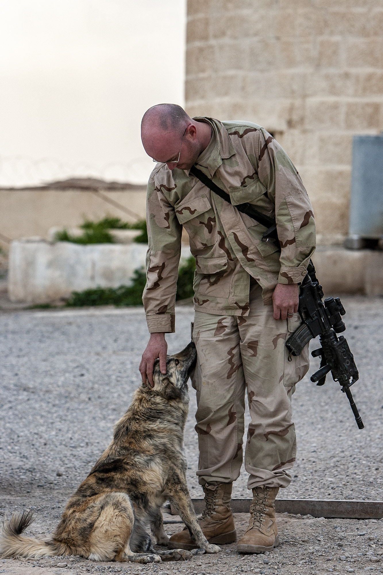An American soldier with a local Iraqi dog at an Iraqi fort on the Syrian border.