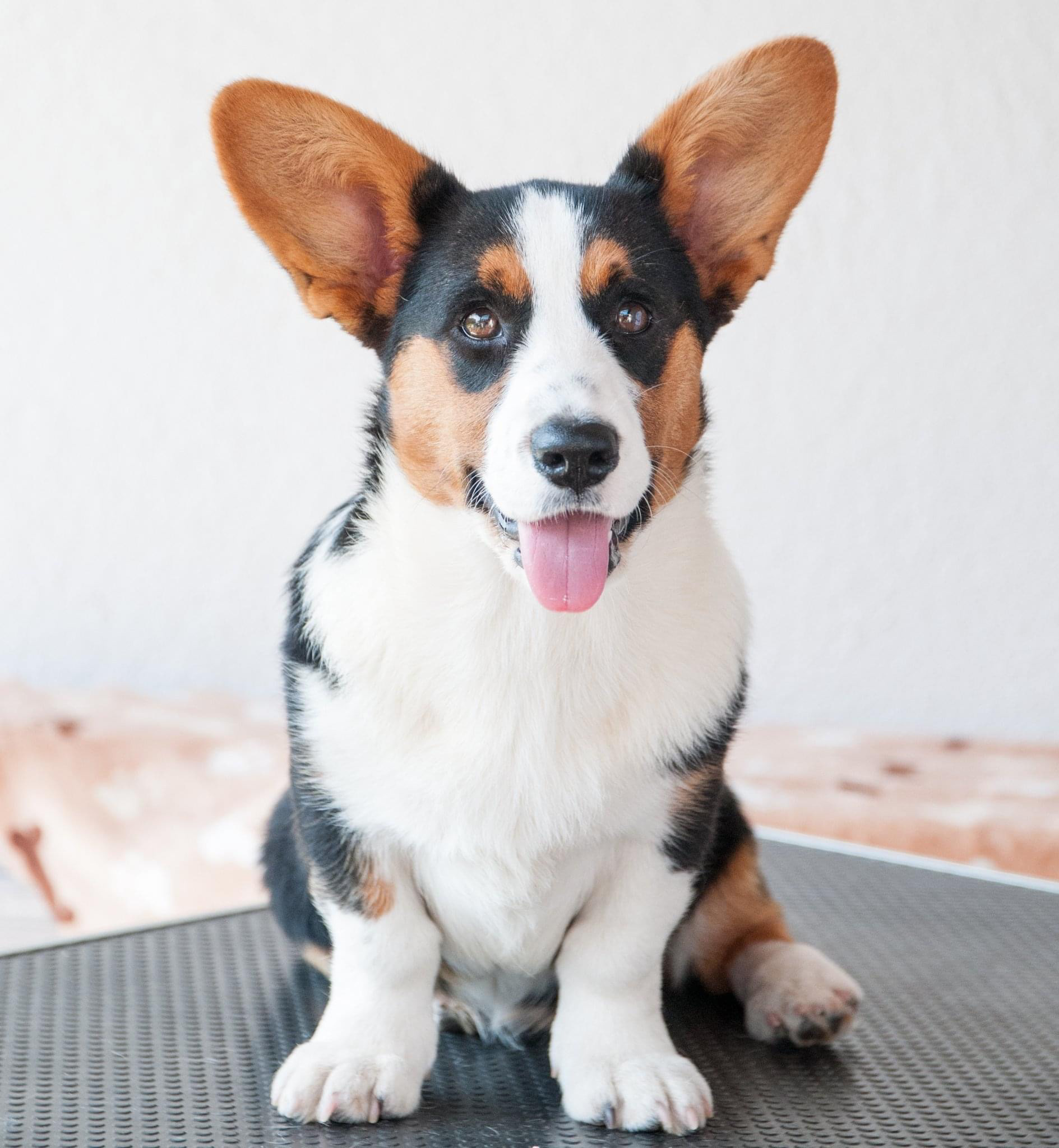 08/2022 - 4,5 months