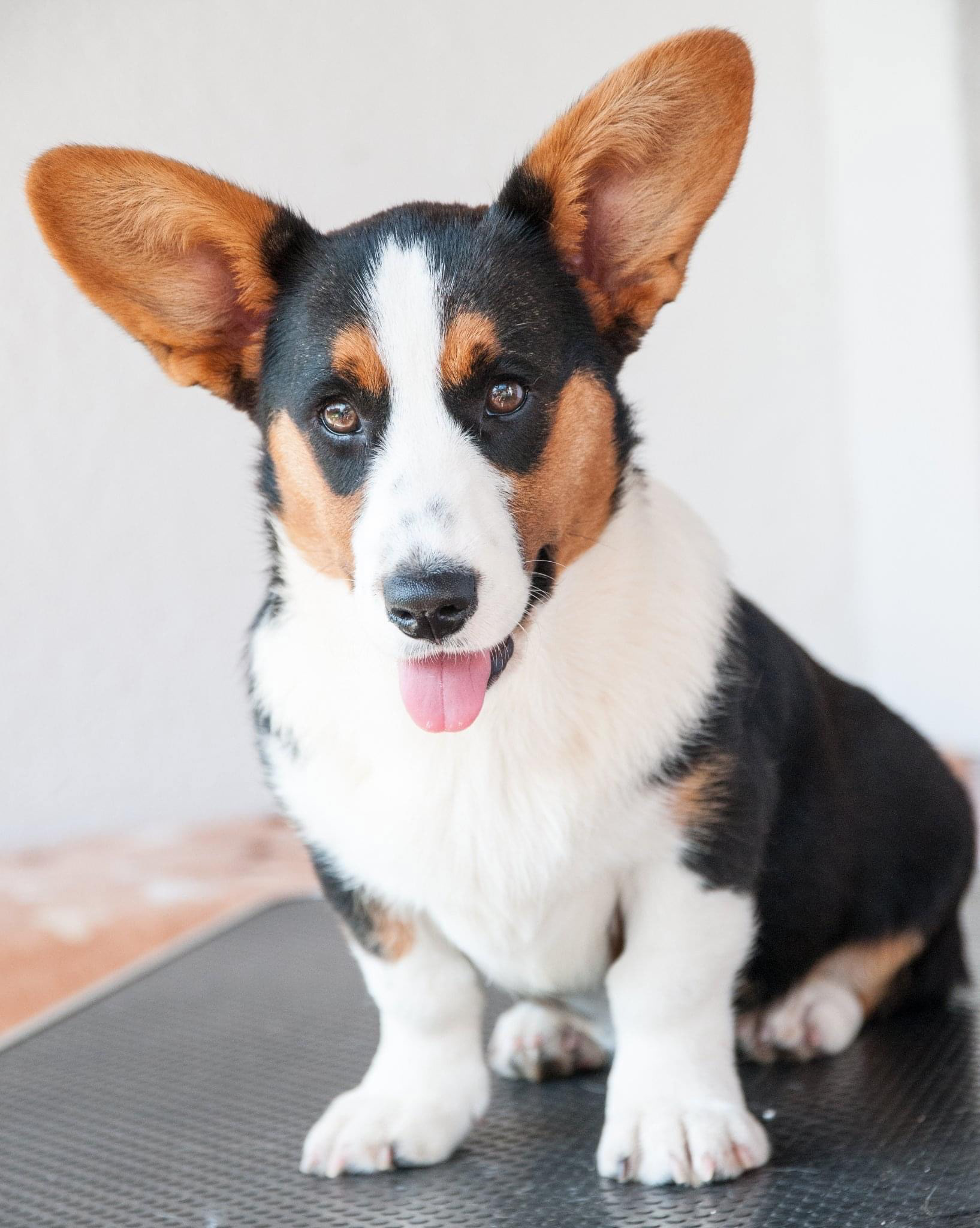 08/2022 - 4,5 months