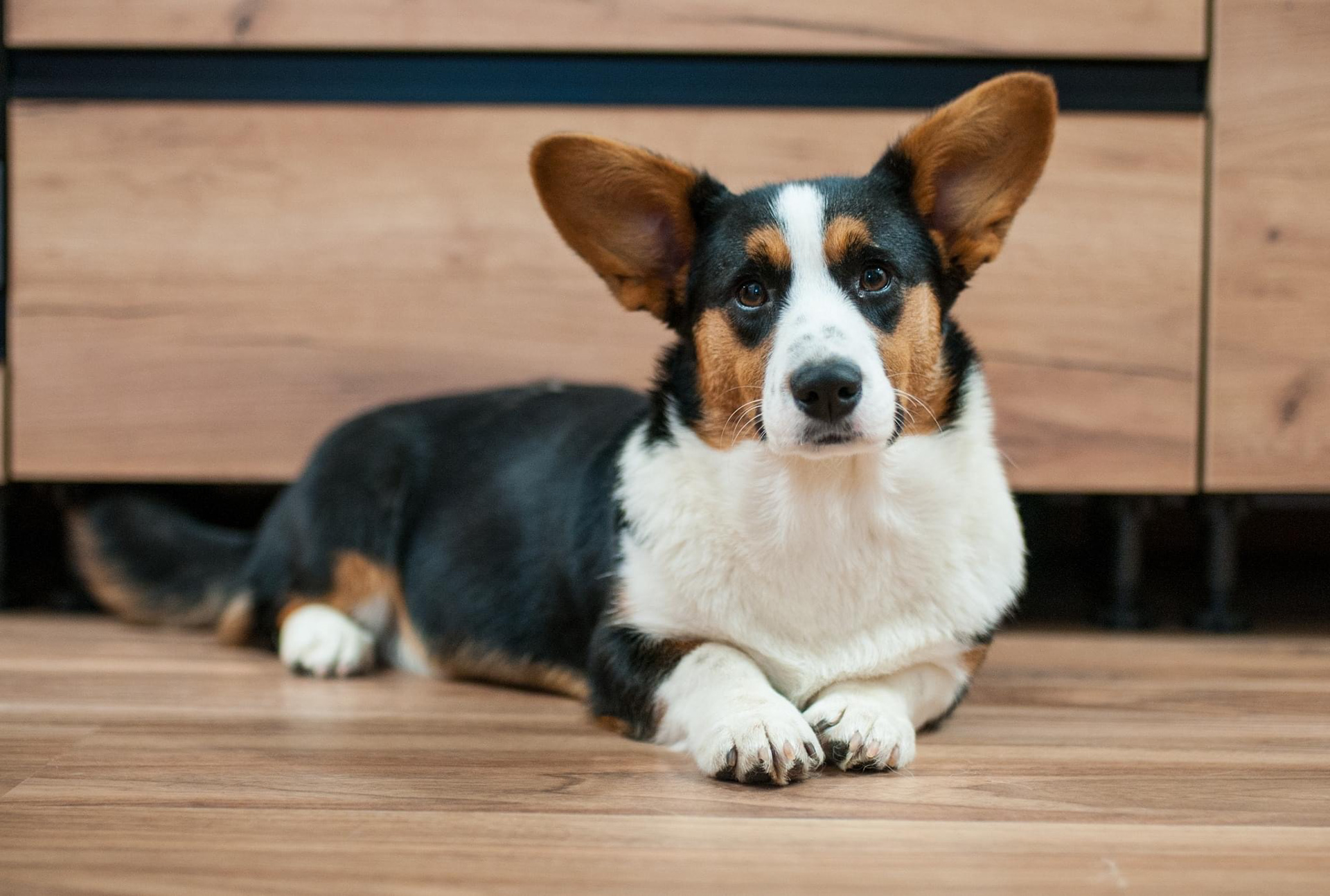 11/2022 - 7,5 months