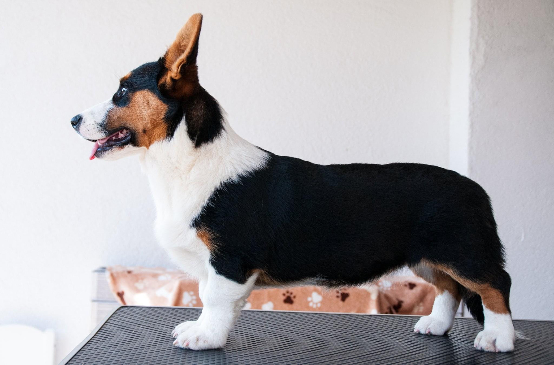 08/2022 - 4,5 months