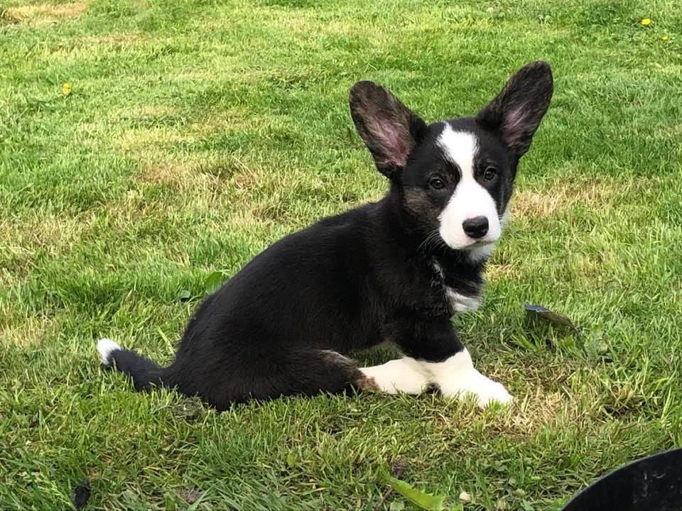 05/2022 - 2,5 months