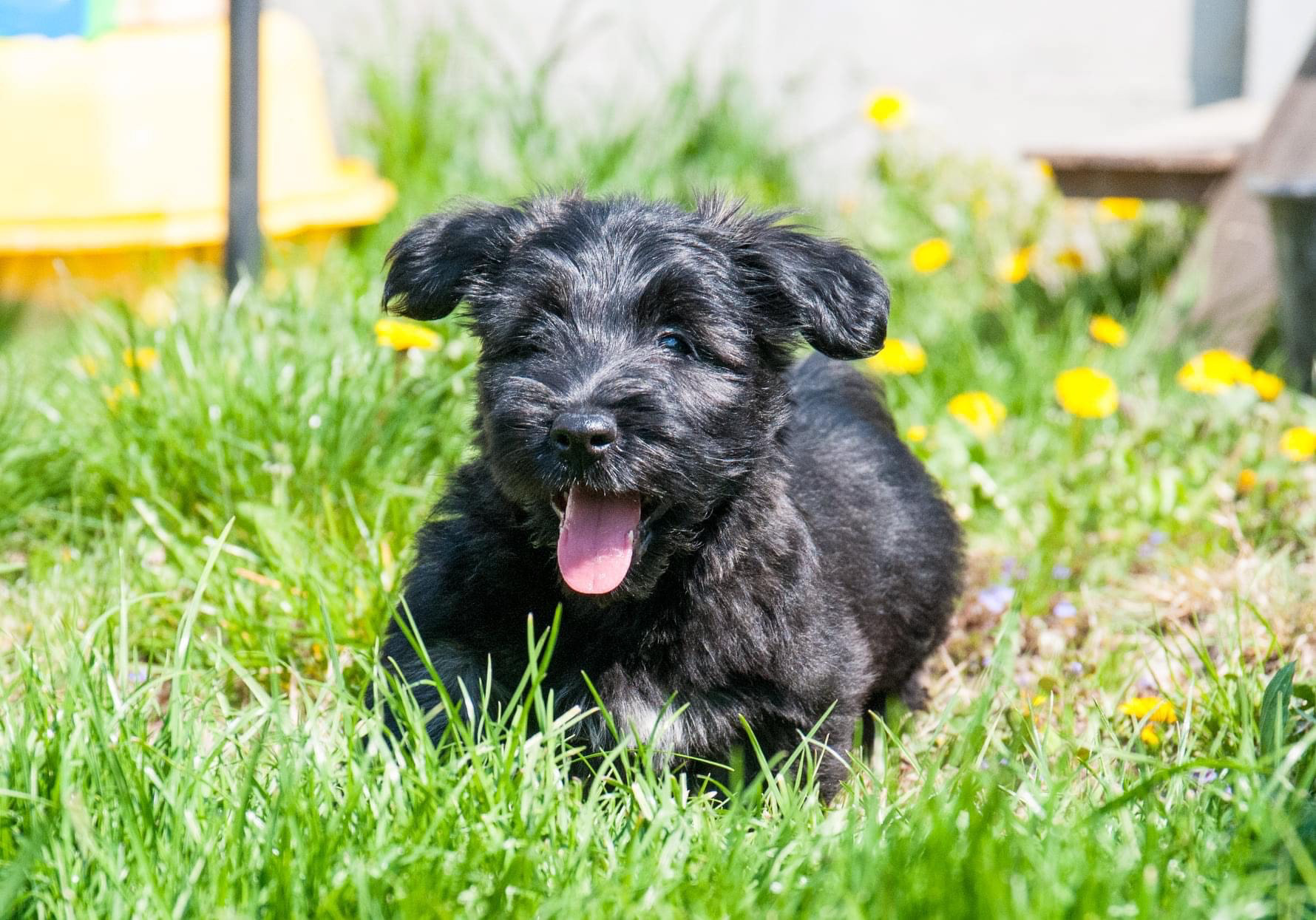 05/2022 - 9 weeks
