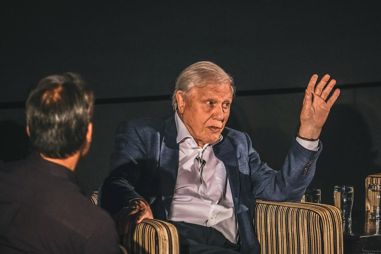Sir David Attenborough for the BBC (Olumedia)