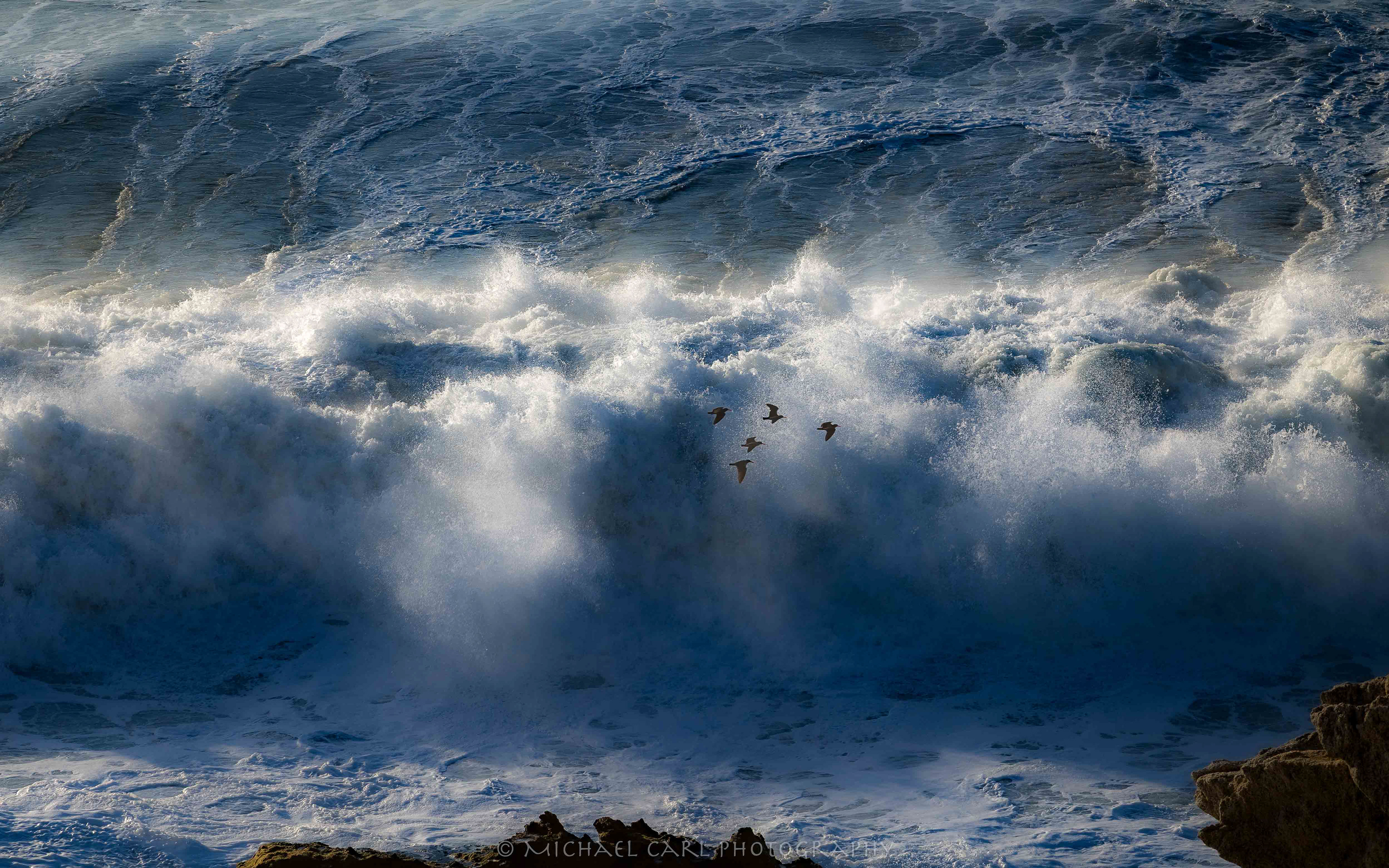 Seascape photography shows the dynamic conditions of the ocean as a group of shorebirds fly over a crashing wave along the California Coast
