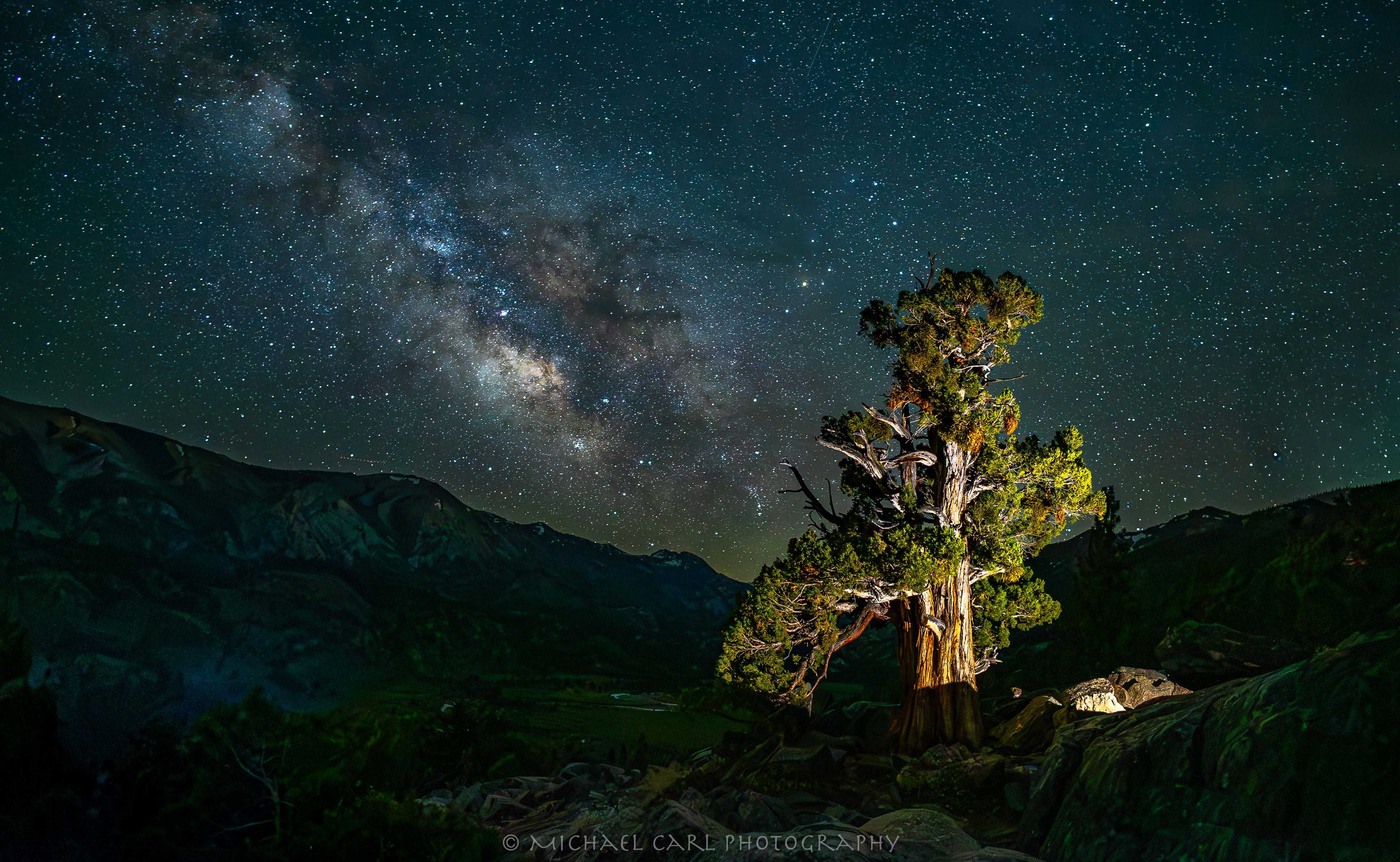Night sky photography of Milky Way over juniper tree in the Sierra Nevada Mountains.