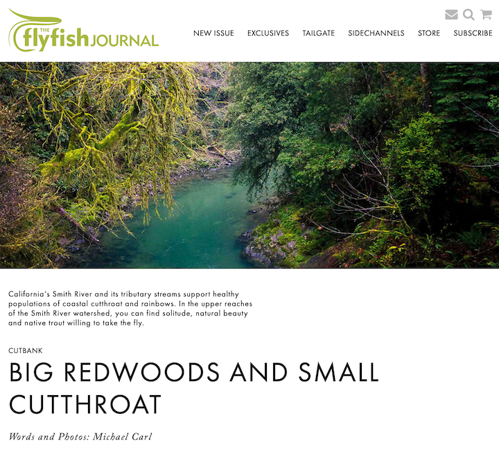 In my search for a place to fish, I found refuge from the heat of a summer day along California’s Redwood Coast. More importantly, I came to realize how an old-growth forest makes a perfect home for cold-water loving fish. Read the full story in the Summer 2024 issue of The FlyFish Journal.
