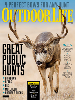Look for my photography on fishing for native golden trout in the September 2014 issue of Outdoor Life.