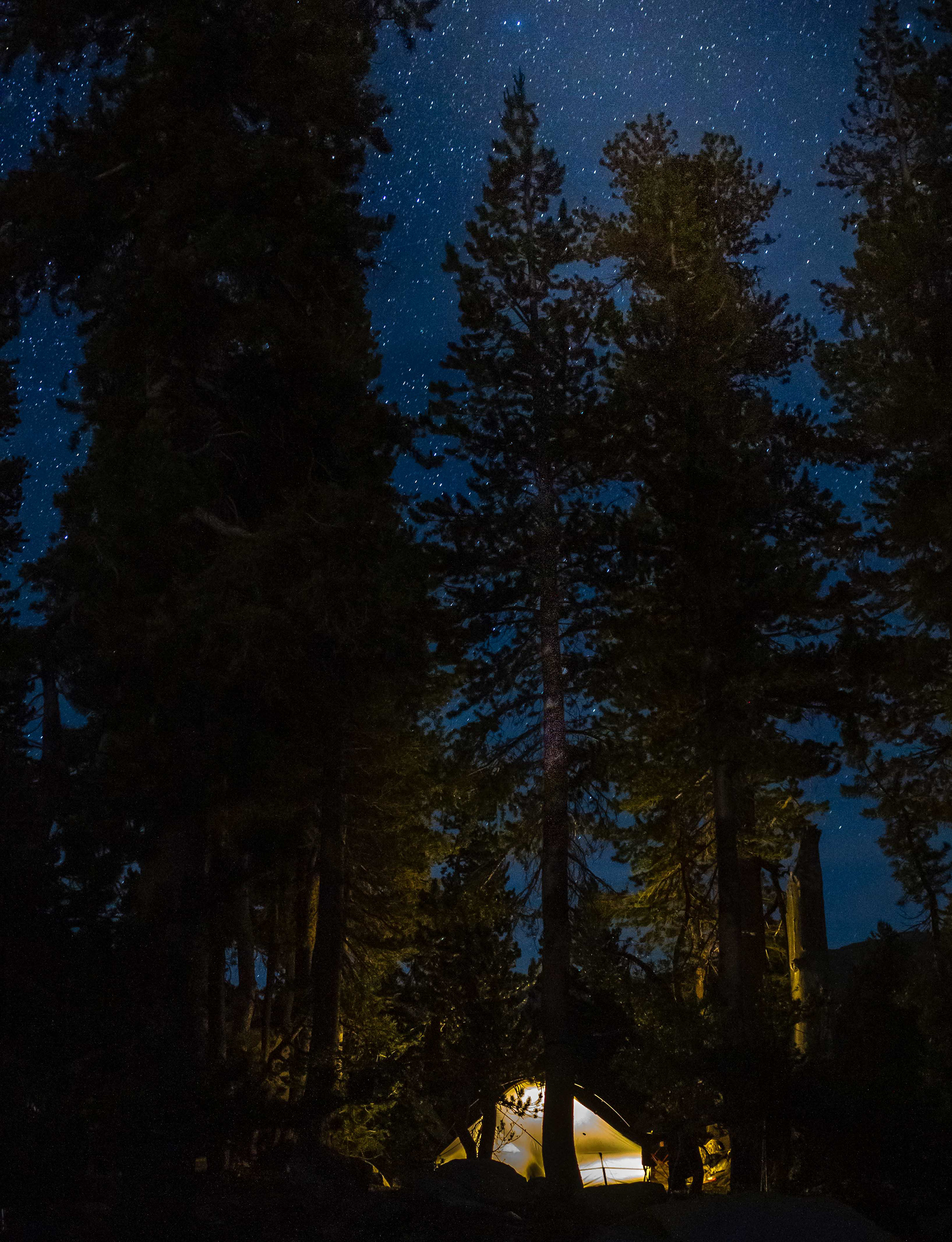 Tent camping in Yosemite National Park under the stars in the backcountry during a backpacking trek on the Pacific Crest Trail.