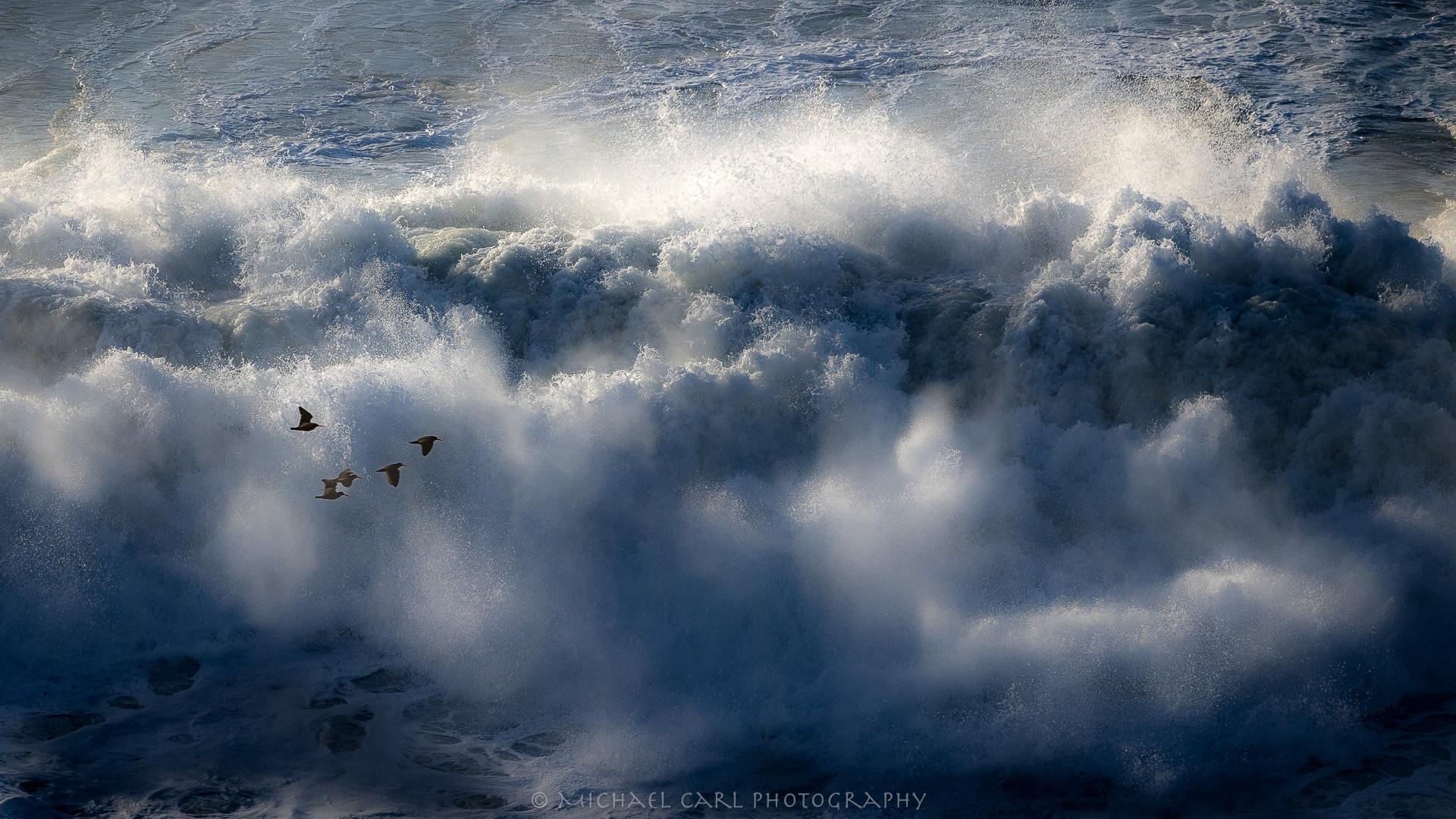 Seascape photography shows the dynamic conditions of the ocean as a group of shorebirds fly over a crashing wave along the California Coast