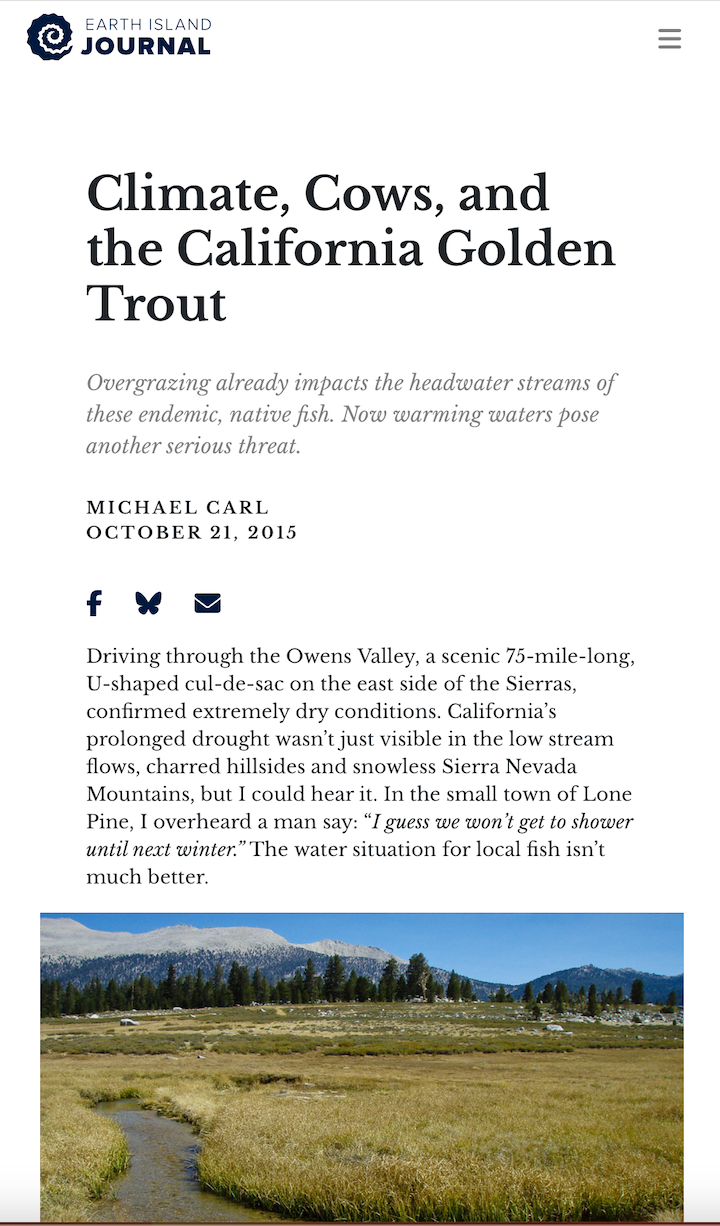 Earth Island Journal published my story on the threat posed by cows grazing in the Golden Trout Wilderness of California.