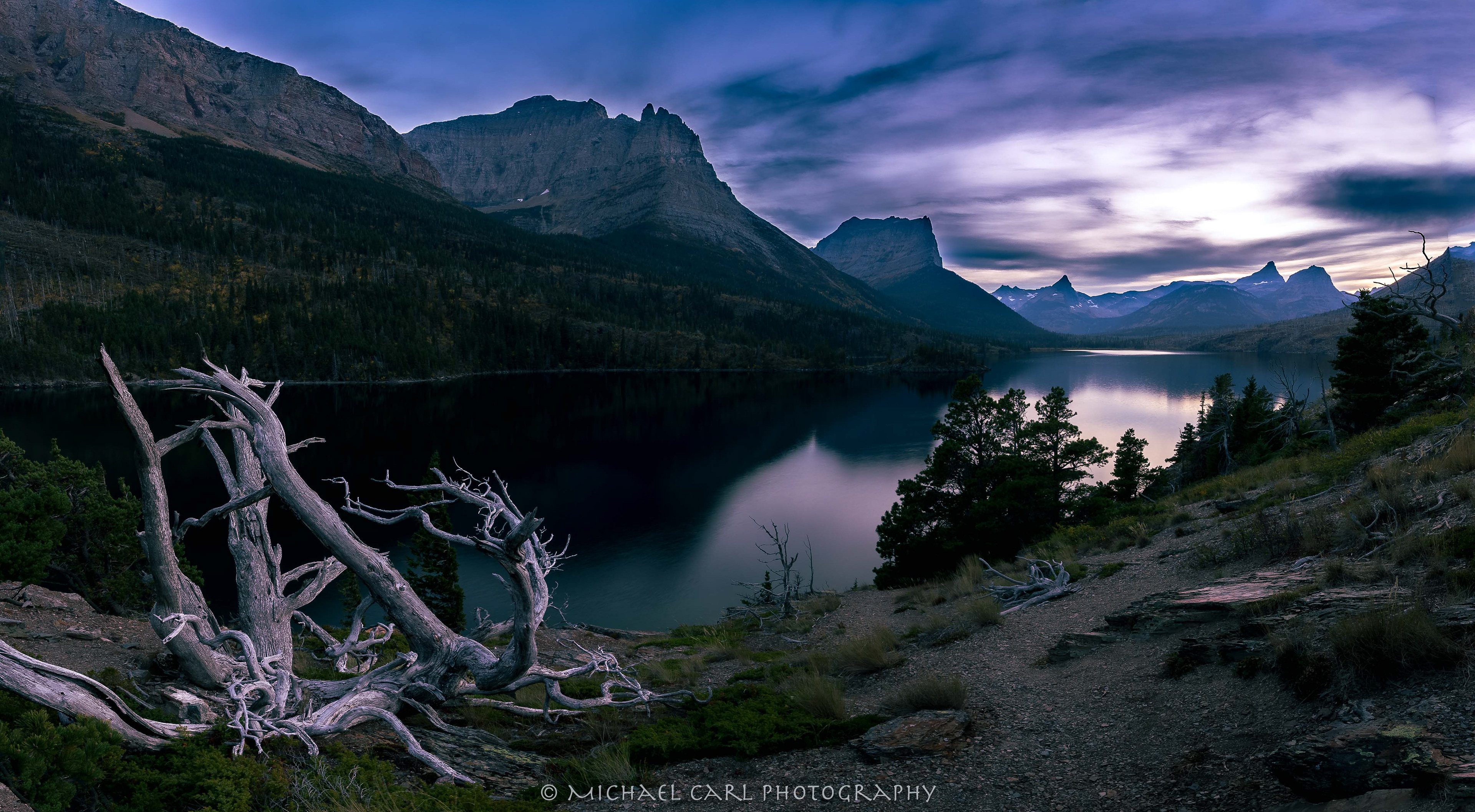 Montana Rocky Mountains landscape photography of ghost tree above Saint Mary Lake.