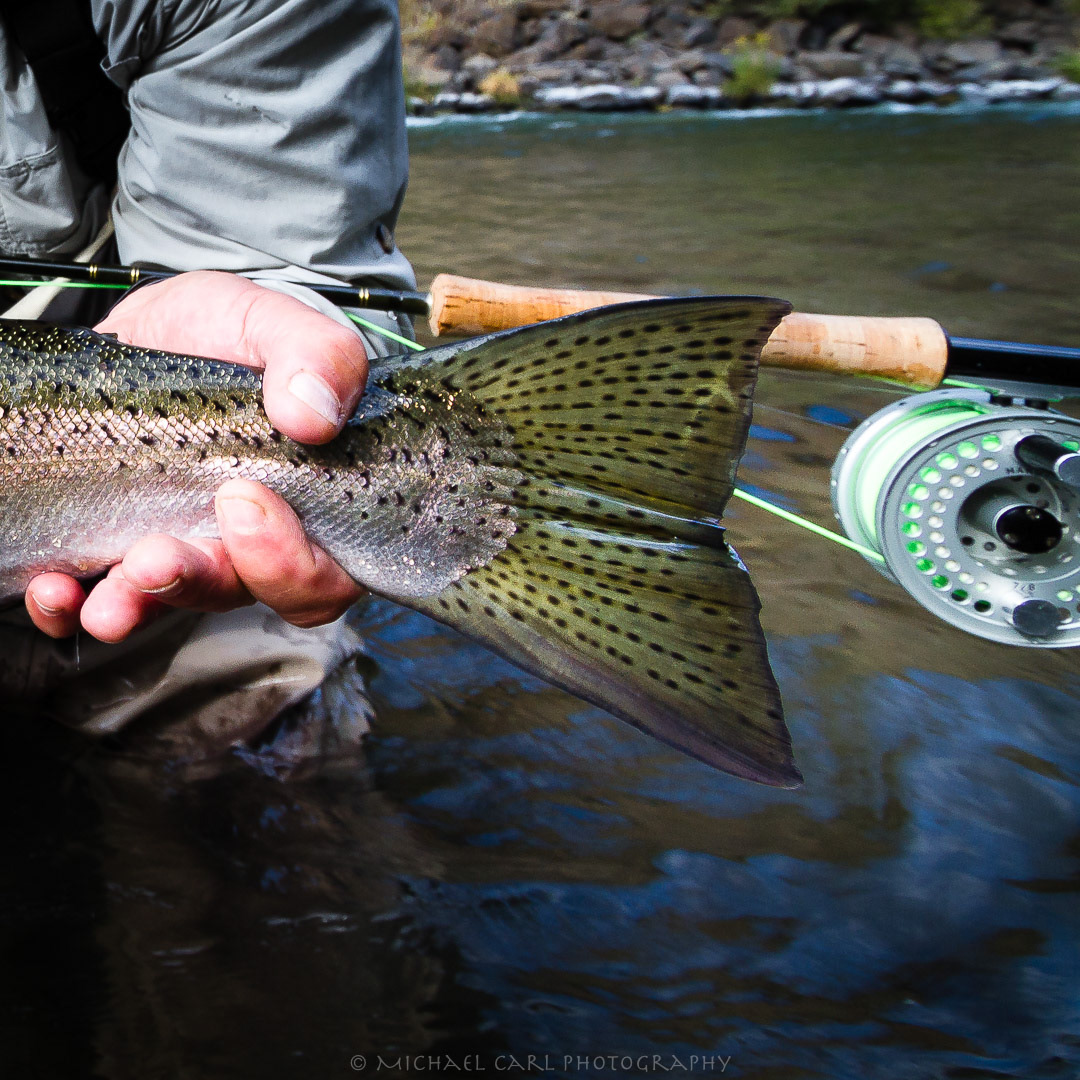 fly fishing photography steelhead trout angler river Michael Carl photography