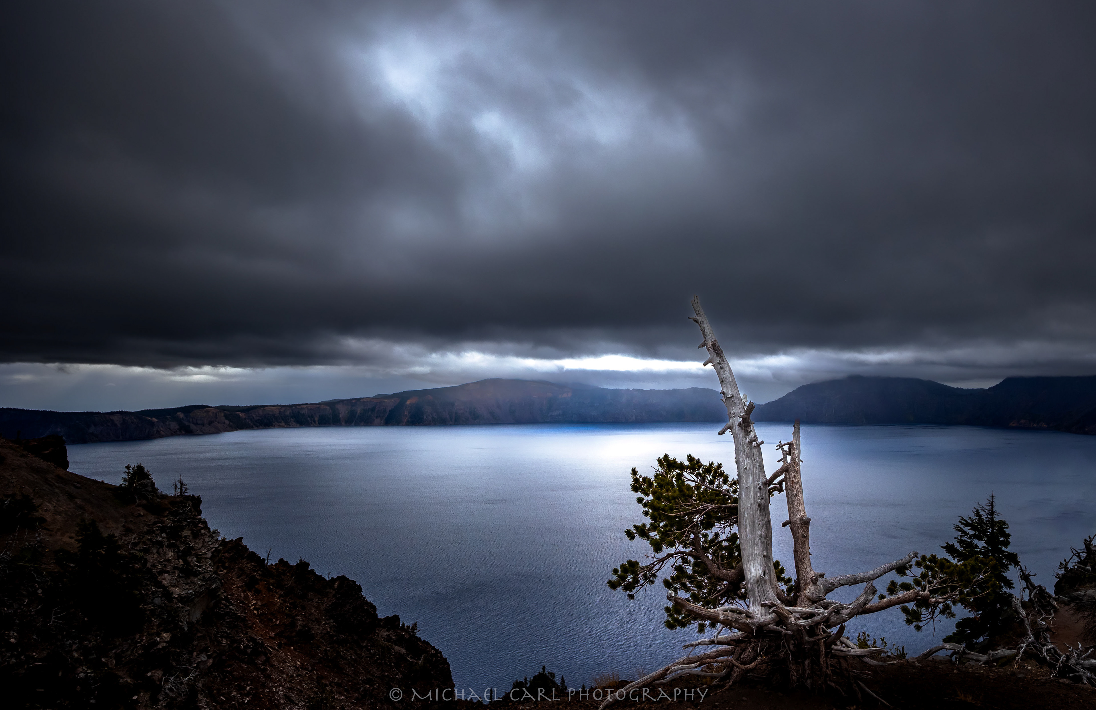 Whitebark pine tree photography with storm clouds over Crater Lake National Park Oregon.