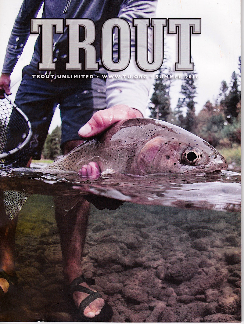 Look for my photography in the feature story highlighting TU's 20th Anniversary of the North Coast Coho Project in the Summer 2018 issue of TROUT.