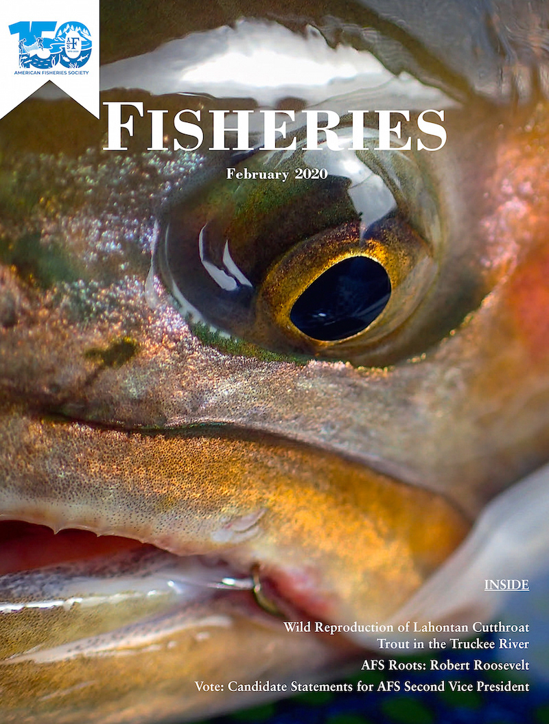 I'm extremely honored to have the American Fisheries Society publish my photograph of a Lahontan Cutthroat on the cover of their February 2020 issue of Fisheries Magazine.