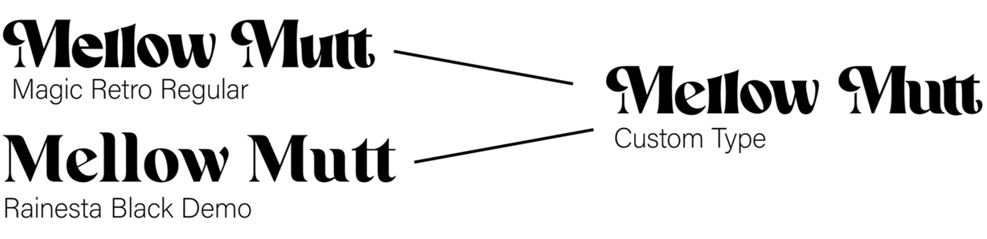 The typefaces used and how I combined them!