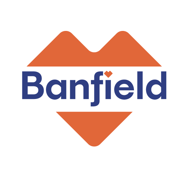 Alternate icon logo.