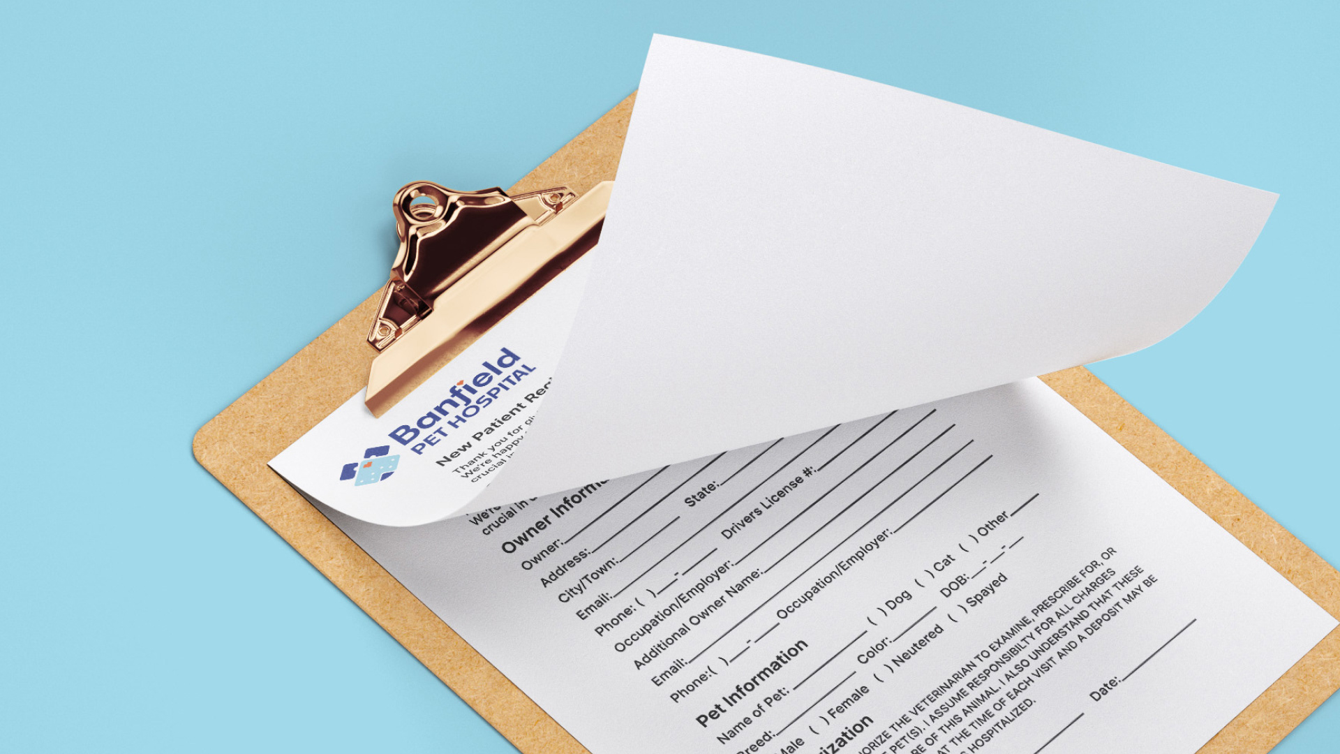 Intake paperwork design (base mockup is not mine).