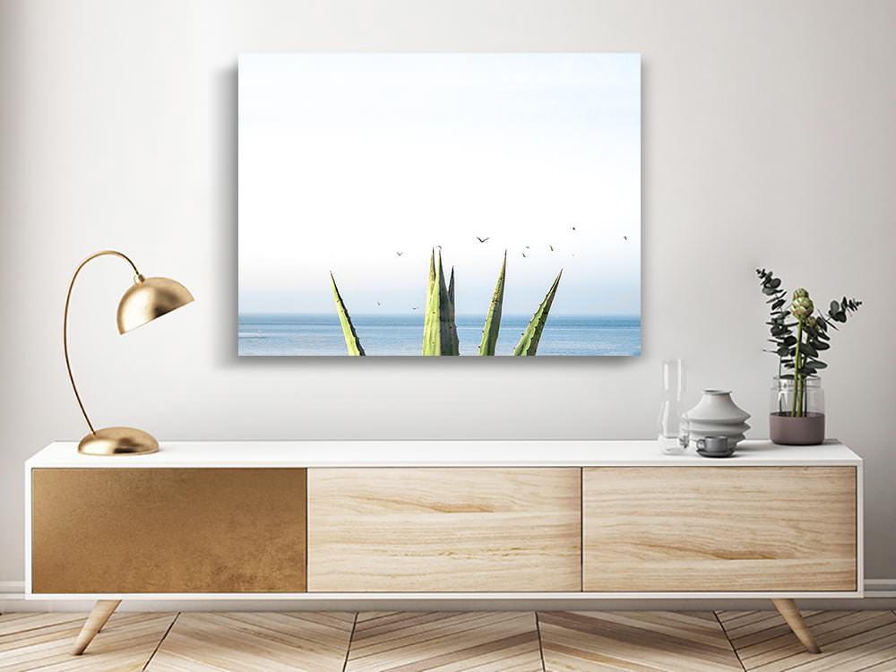 Les feuilles d’une agave se dressant devant l’horizon de la mer Méditerranée. L’arrivée des oiseaux dans le cadre ajoute une touche poétique à cette photographie prise dans le sud de la France sur la côte bleue.  Localisation : Martigues, France.