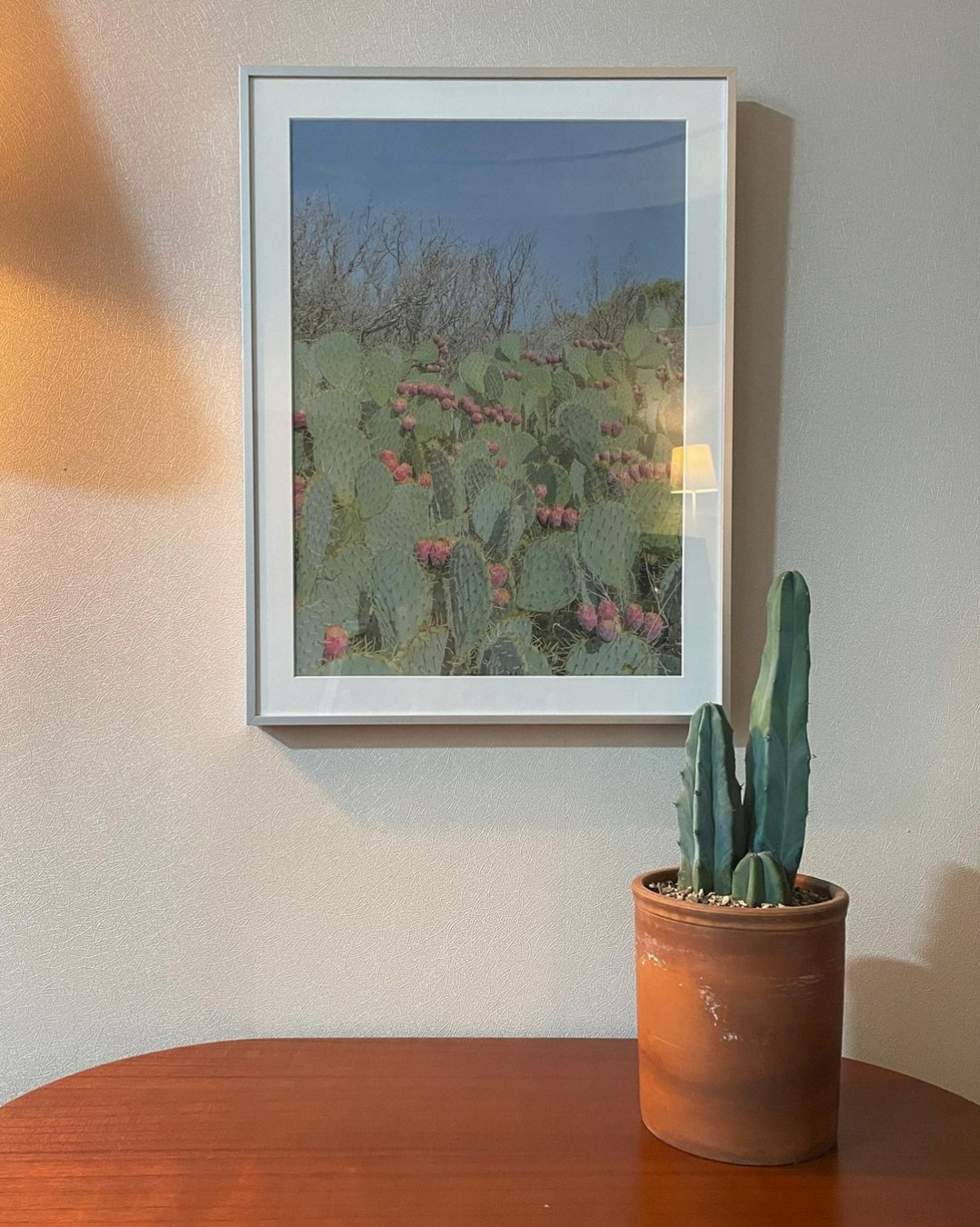 cactus flowers - art print