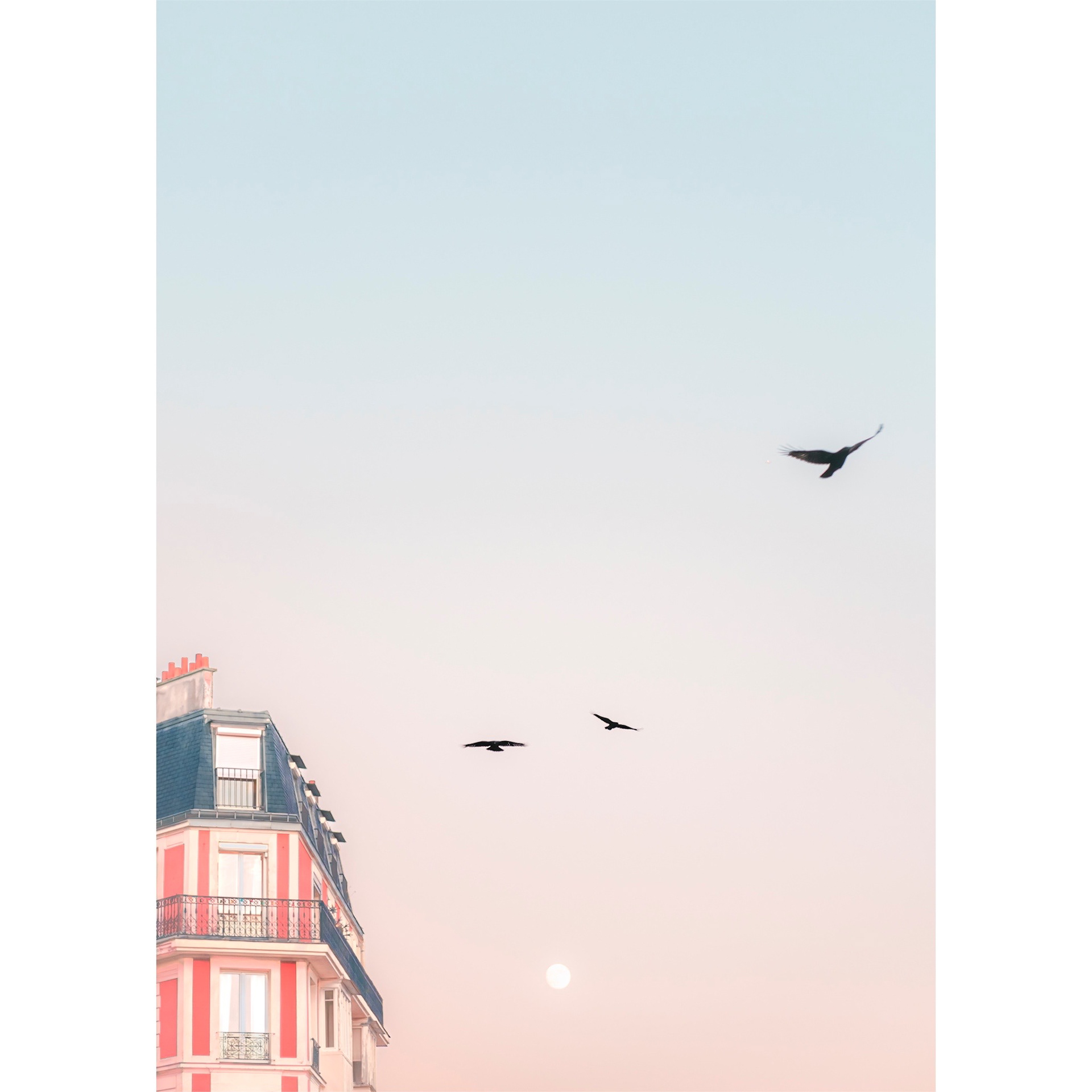 Photograph of the Sinking House on Montmartre hill with a dreamy soft blue aesthetic. Detail of tiny birds and the moon. Paris, France 