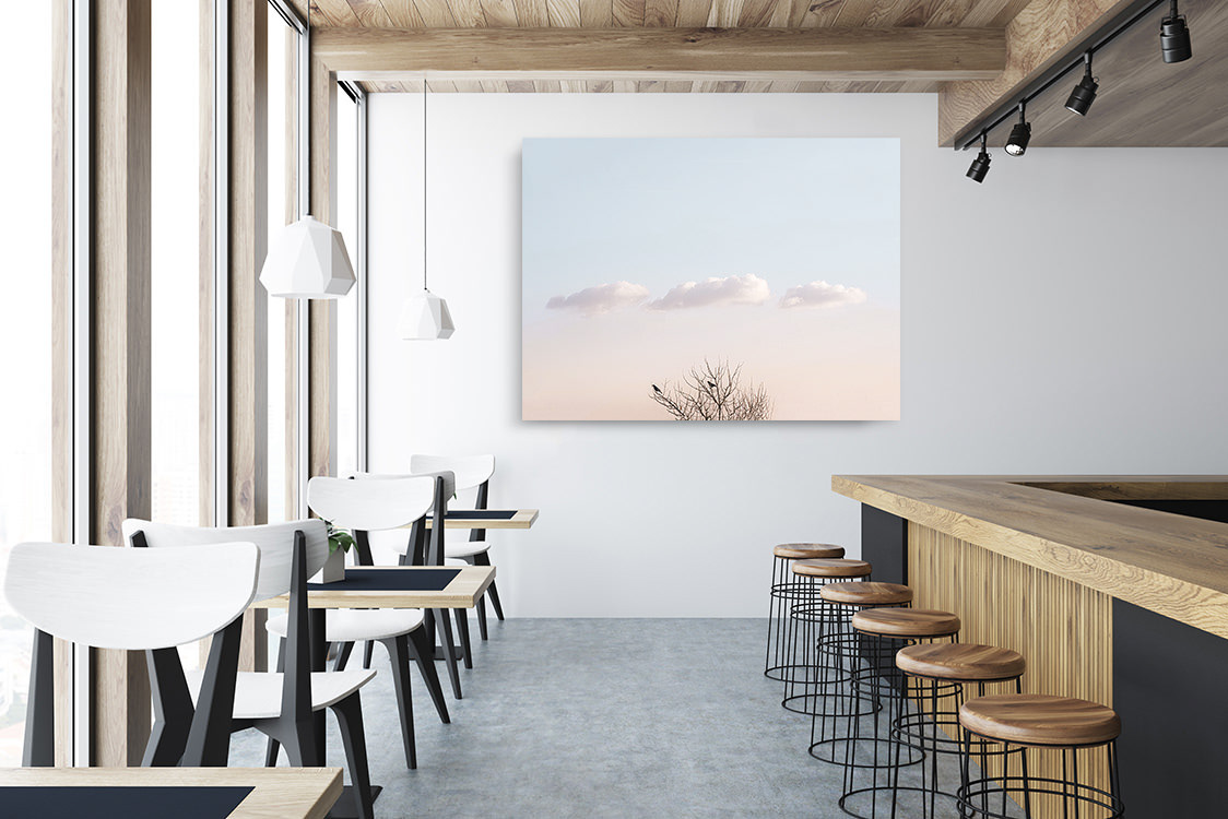 Trois nuages flottent au dessus d’un branchage où sont perchés deux oiseaux. Le soleil bas d’une fin de journée hivernale dessine un joli rose pastel.  Localisation : Paris, France.