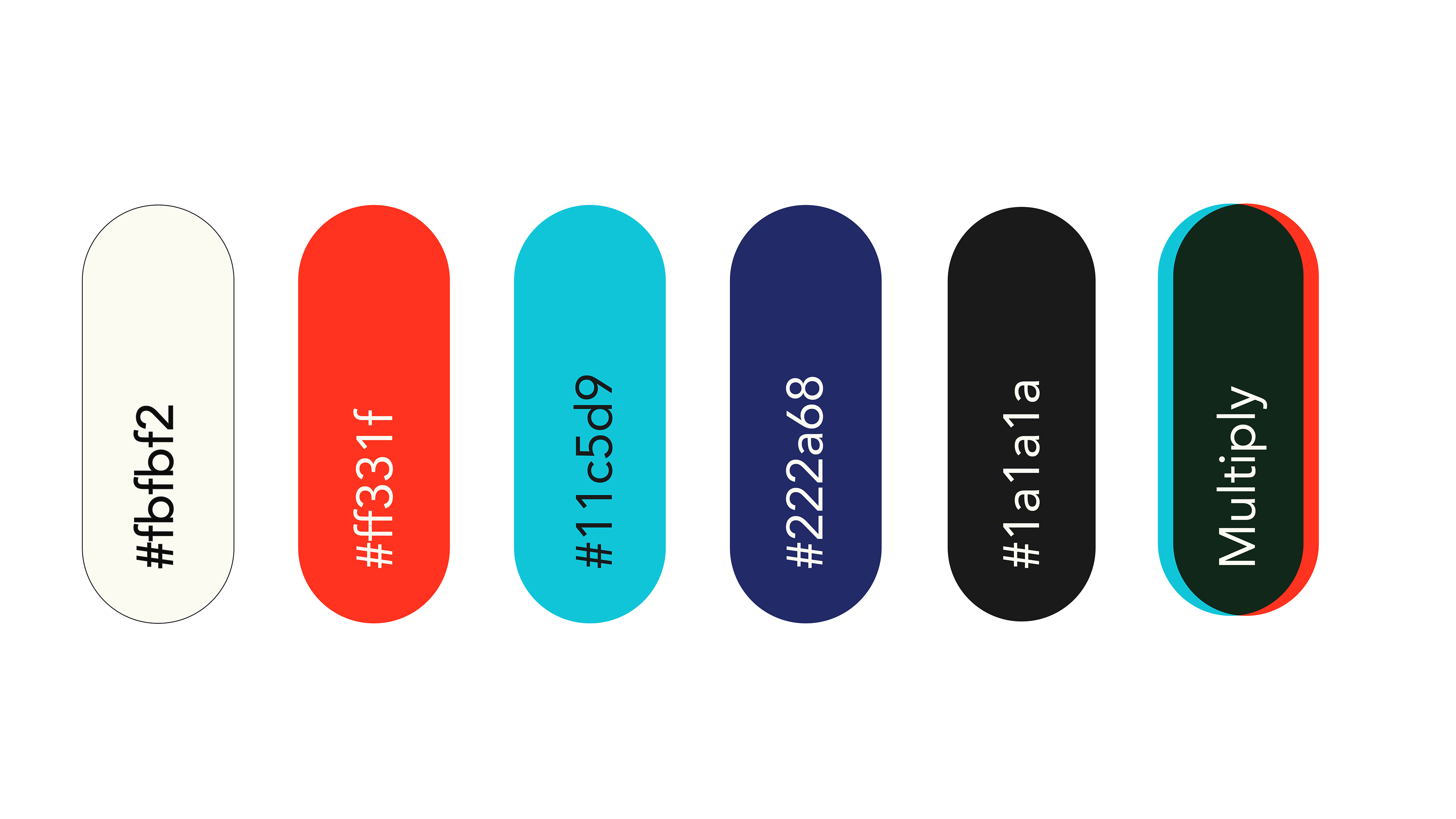 Paleta de cores escolhida