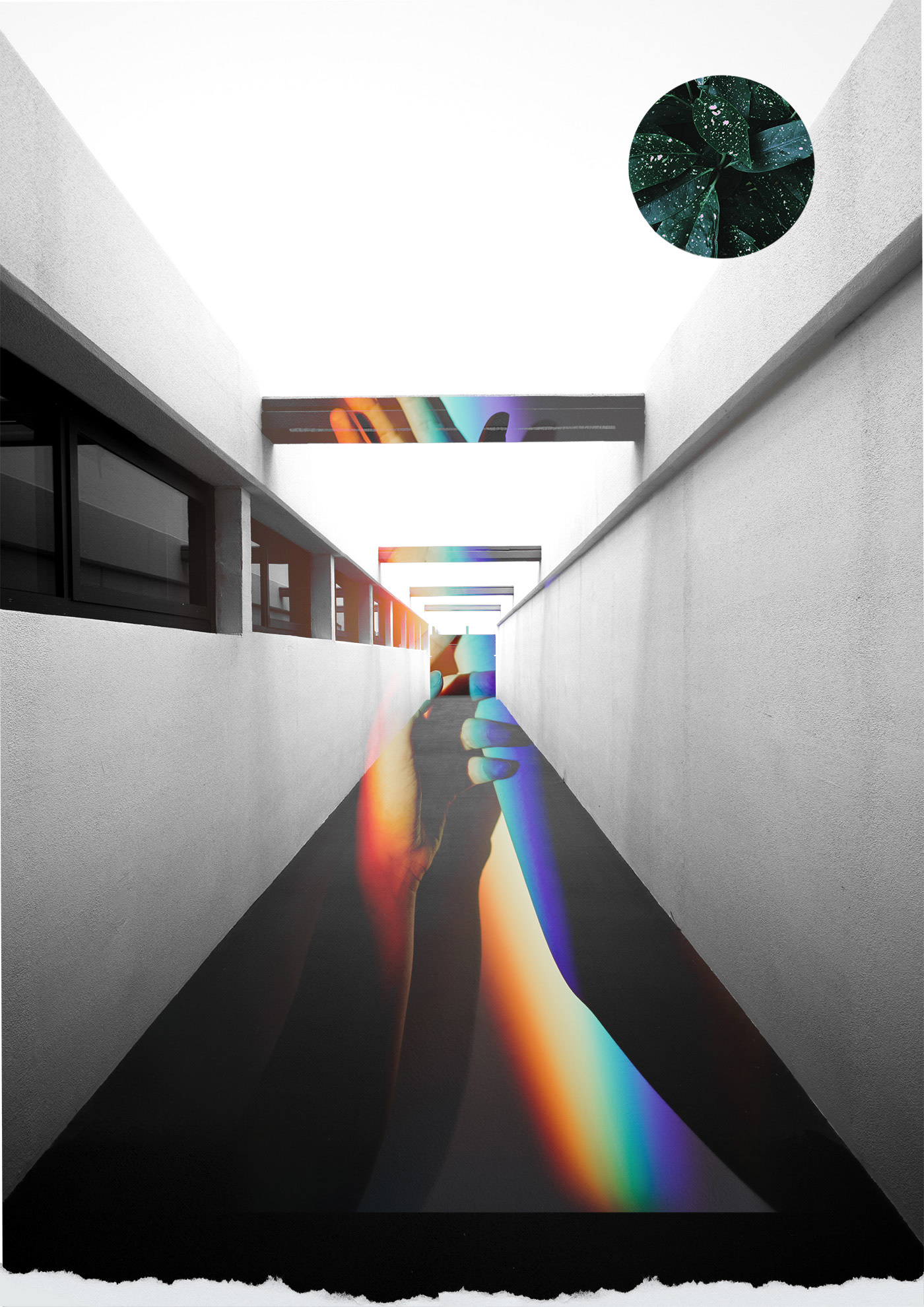 Light