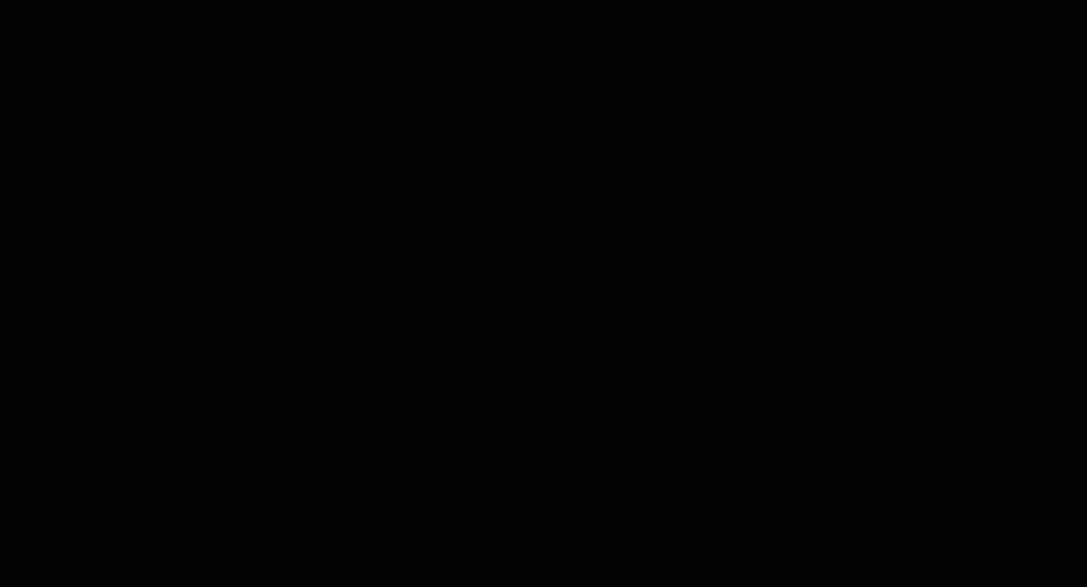 None_Ani (2021)