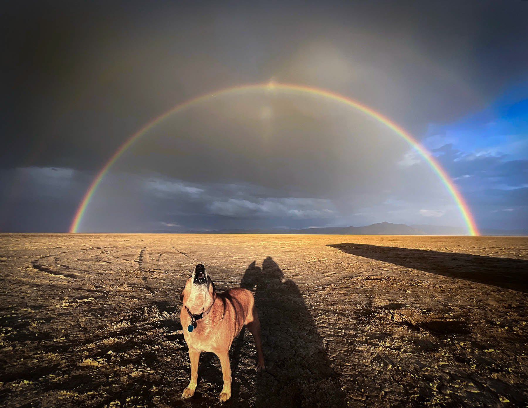Black Rock Desert, Nevada