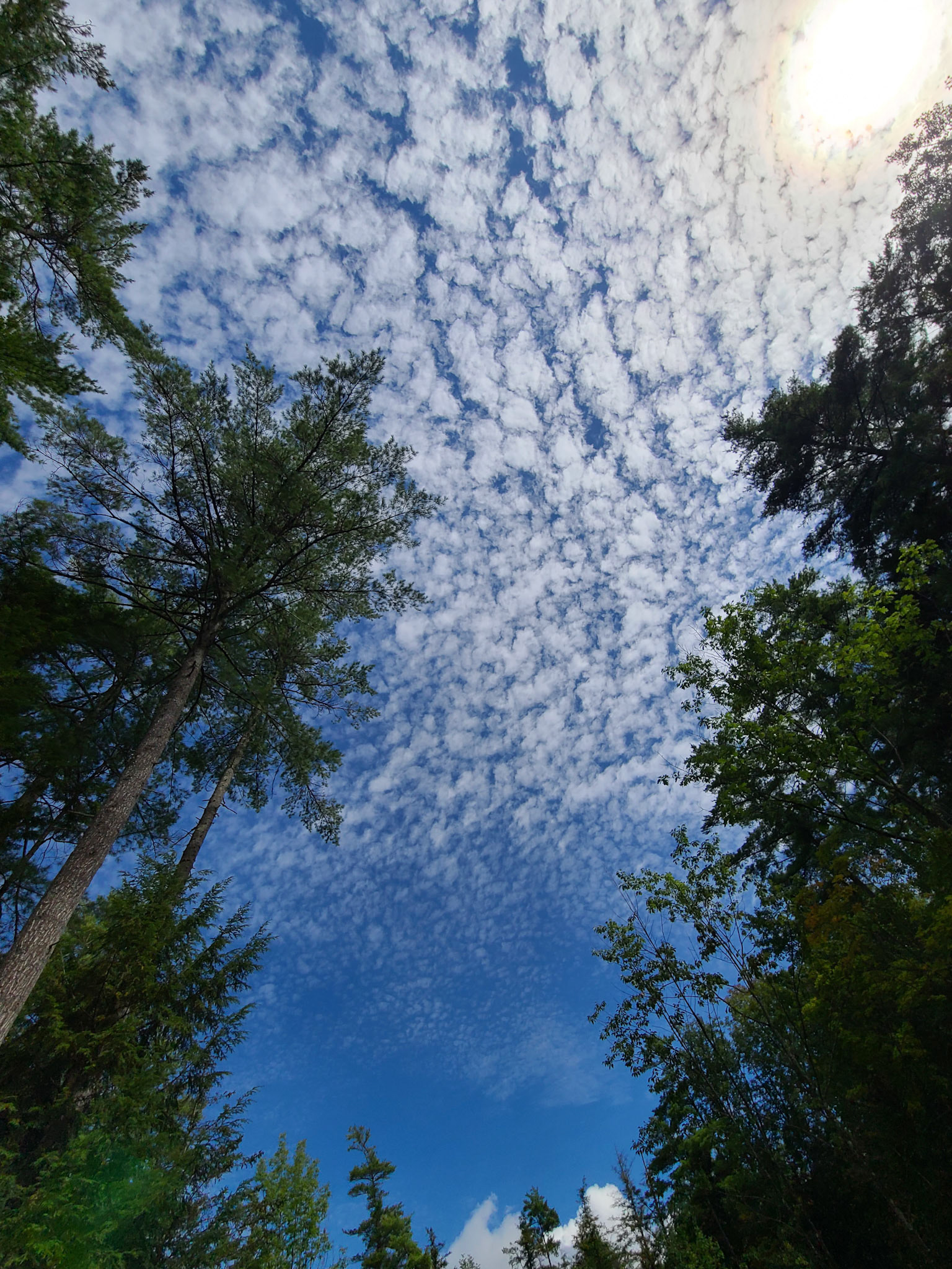 Photo by Isaac Lorton