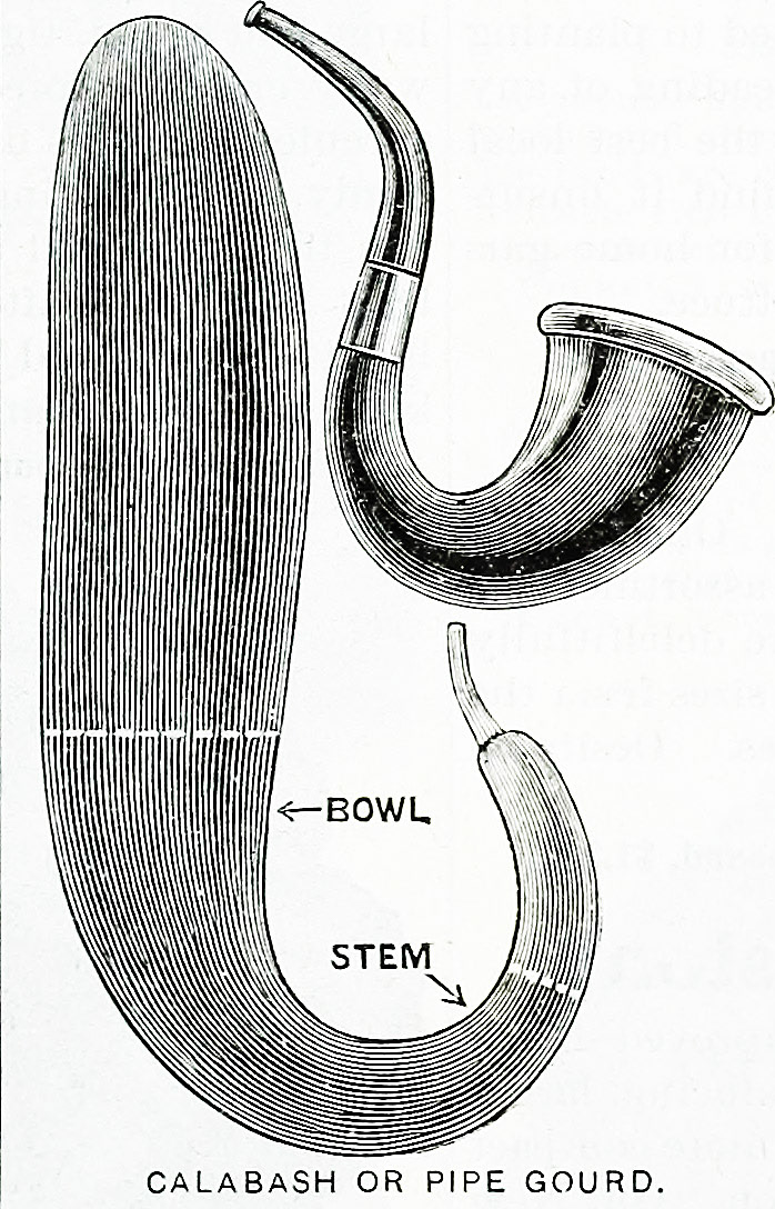 Image provided by Eglantyne Books.