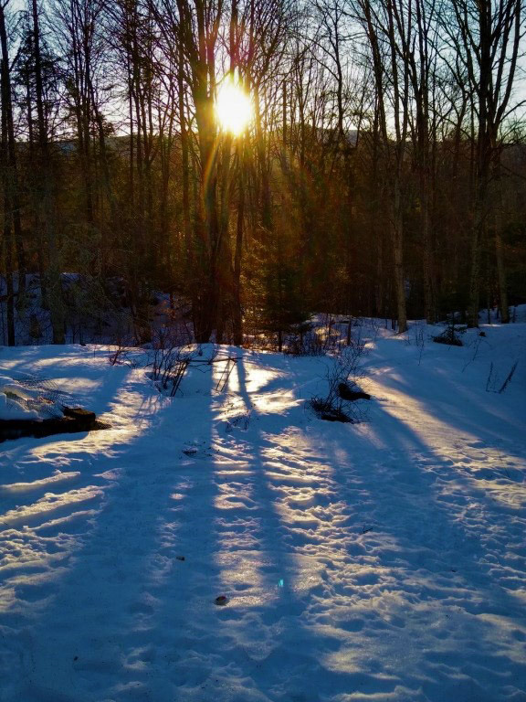 Photo by Tammy Snyder