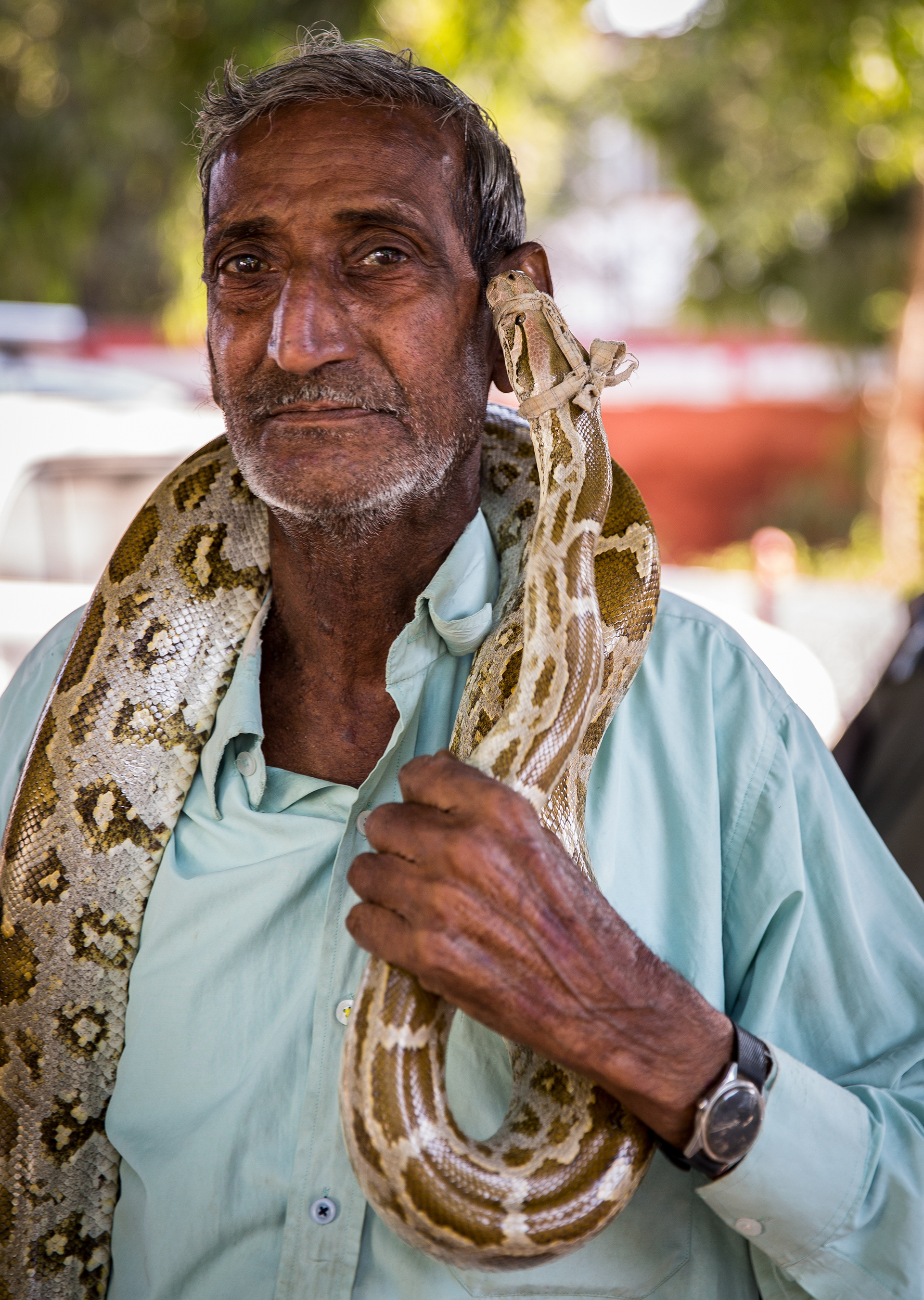 Snake Charmer, India
