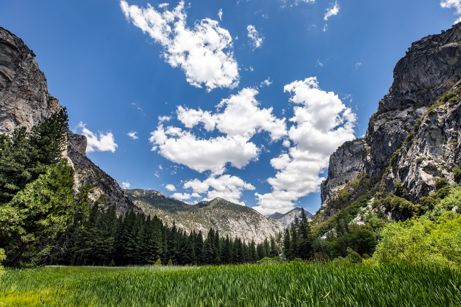 Zumwalt Meadow, Kings Canyon