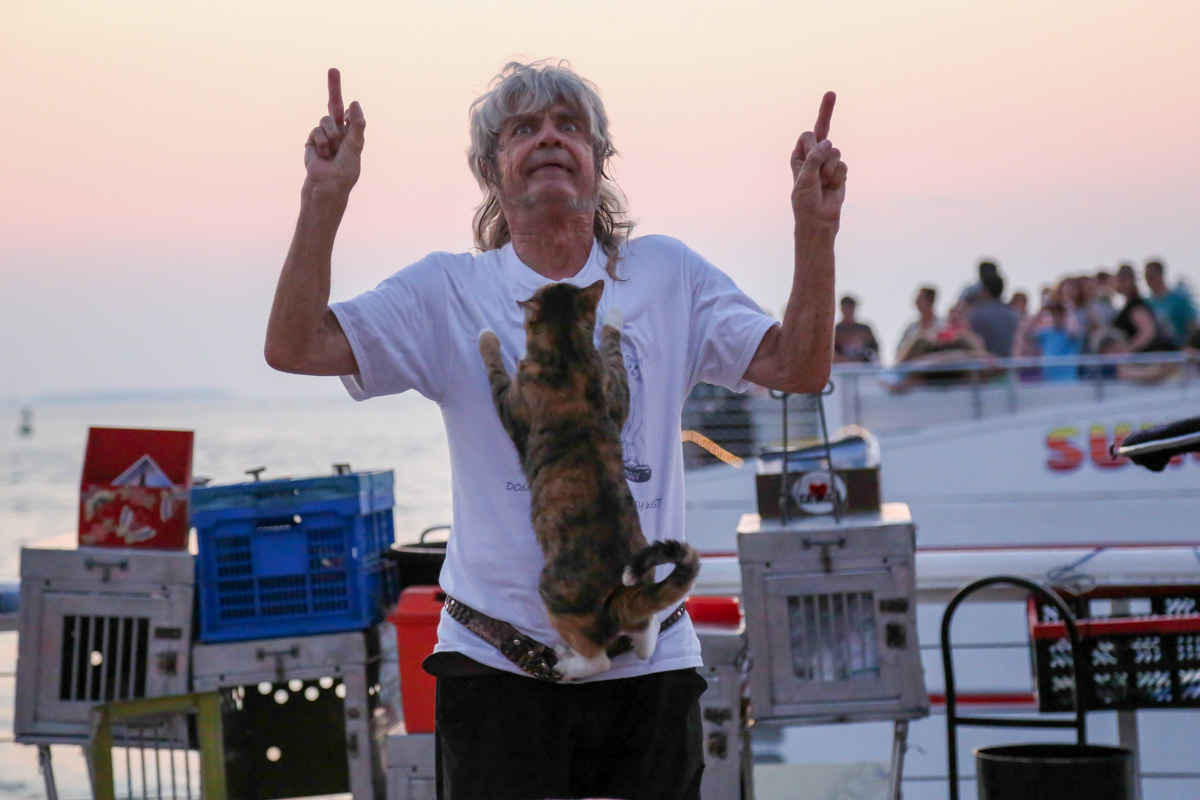 The Cat Man of Key West