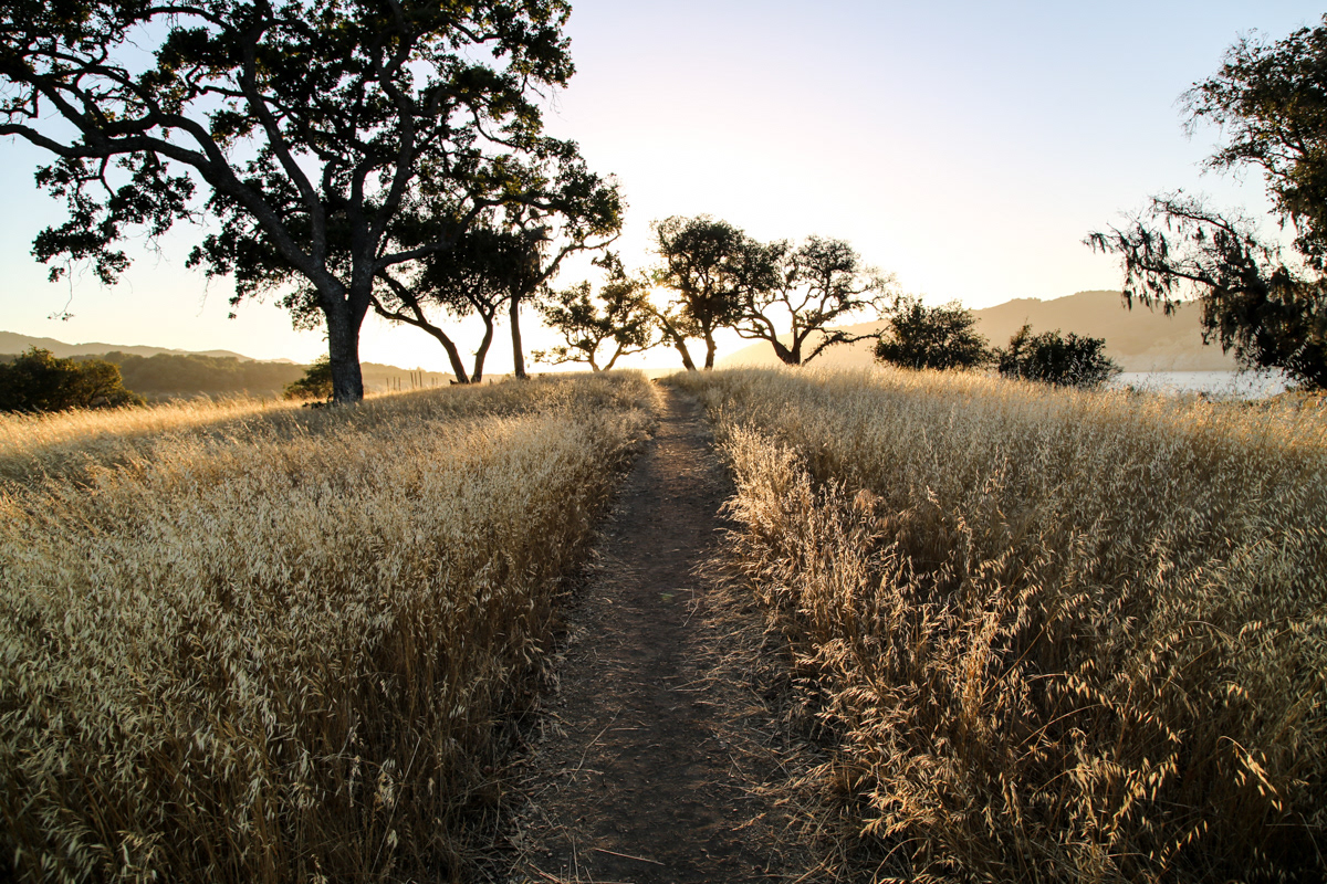 Lake Cachuma
