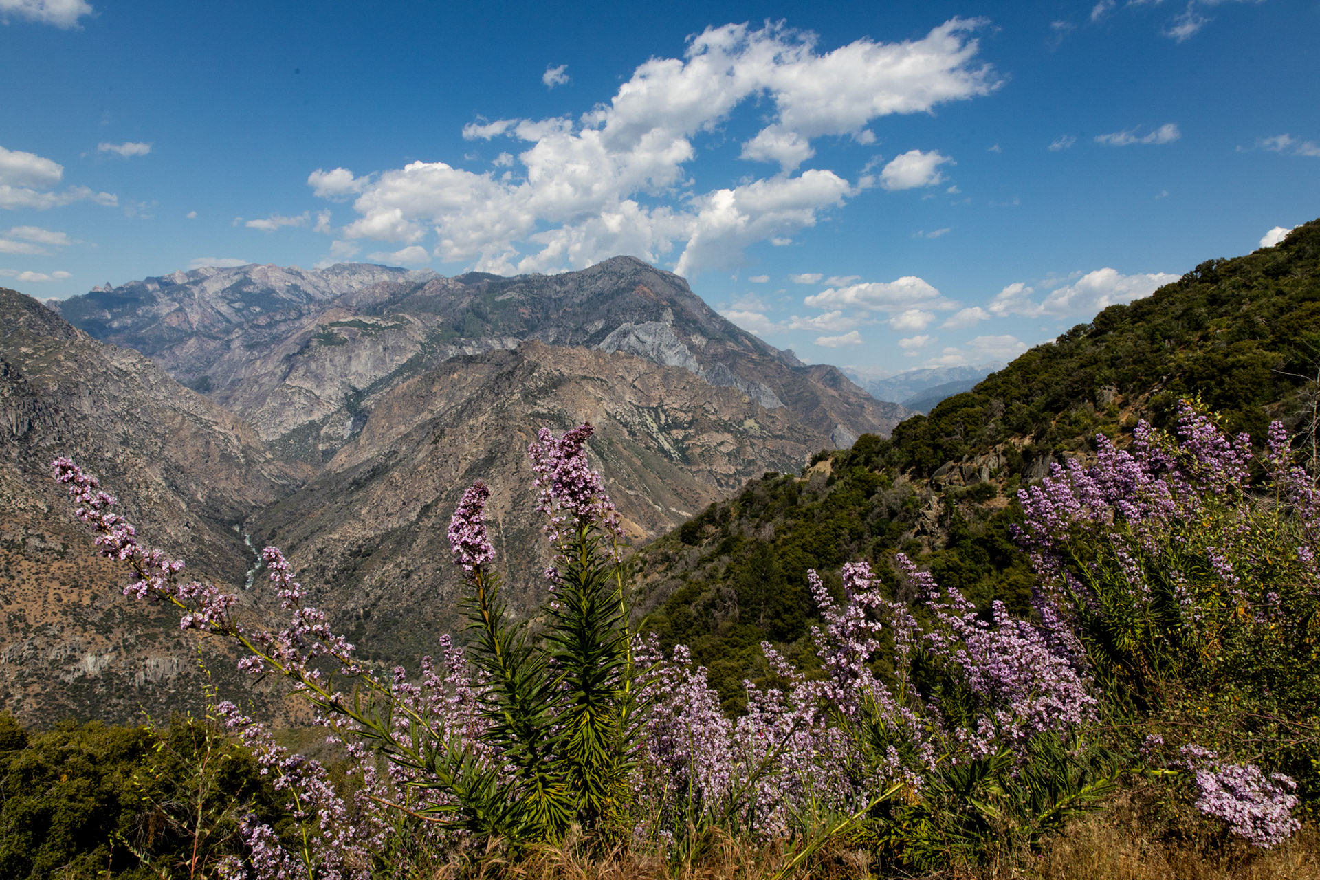 Kings Canyon