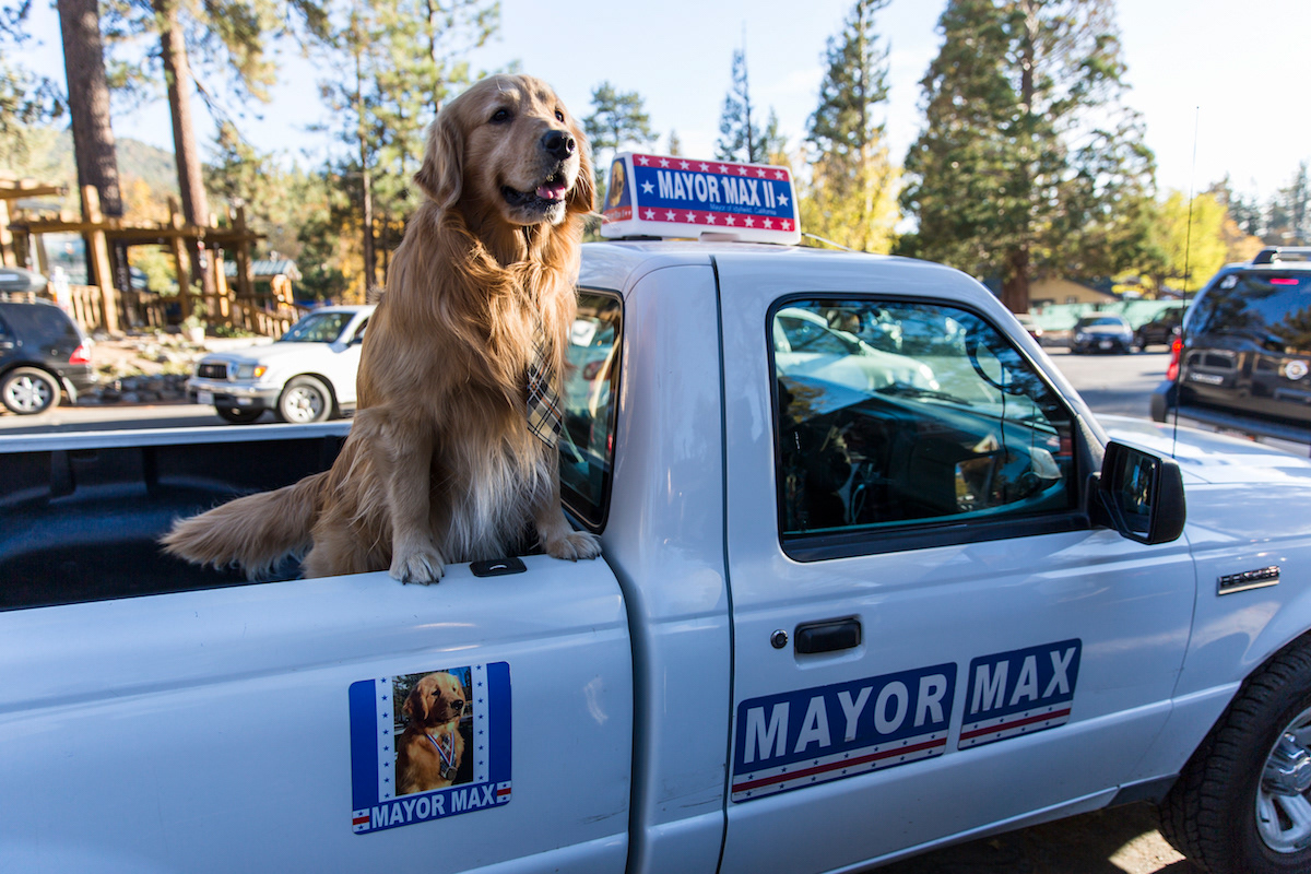 Actual Mayor of Idylwild