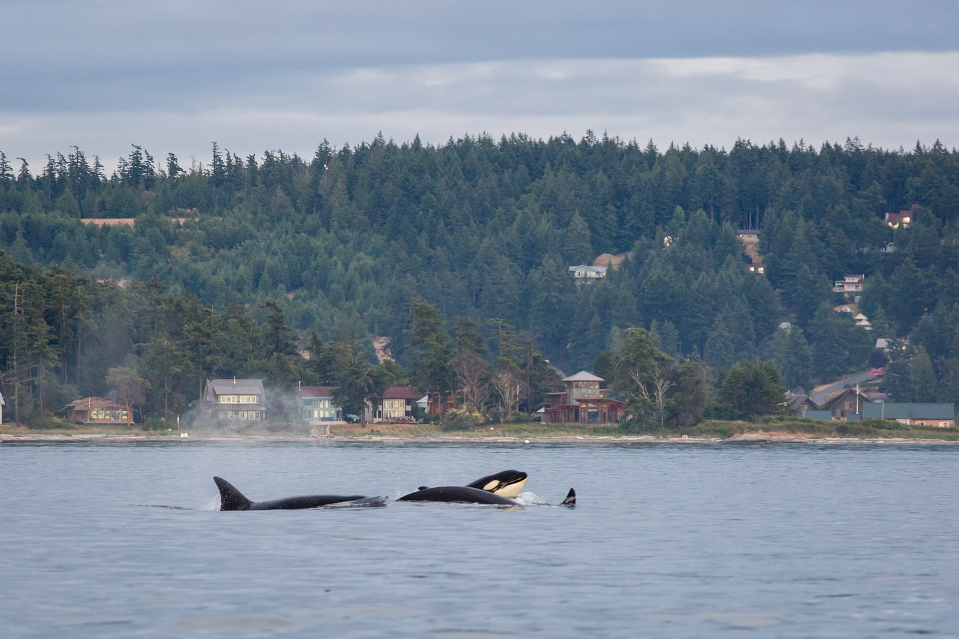 San Juan Island