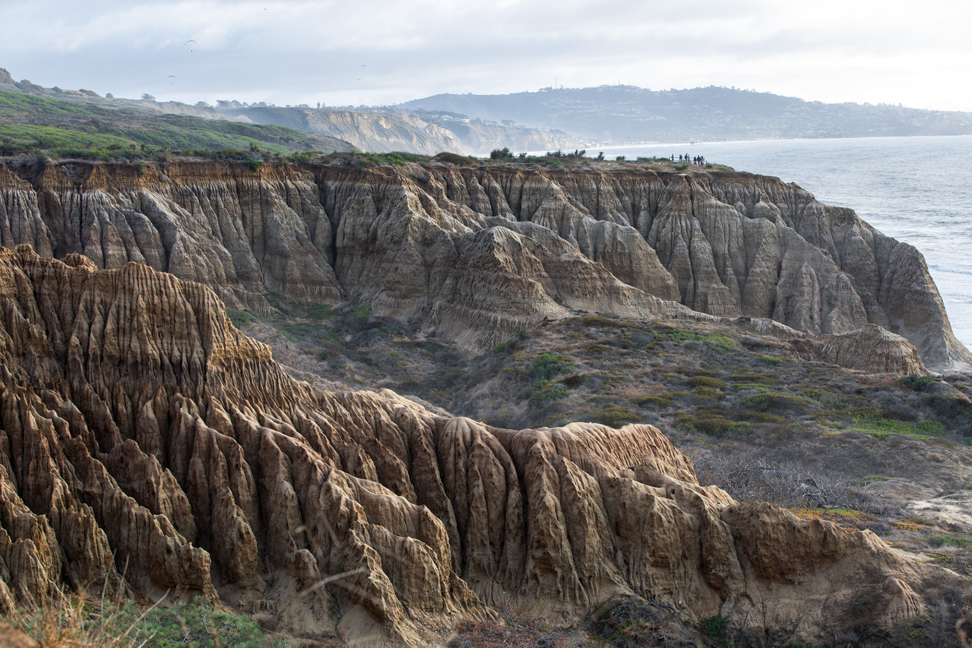 Torrey Pines