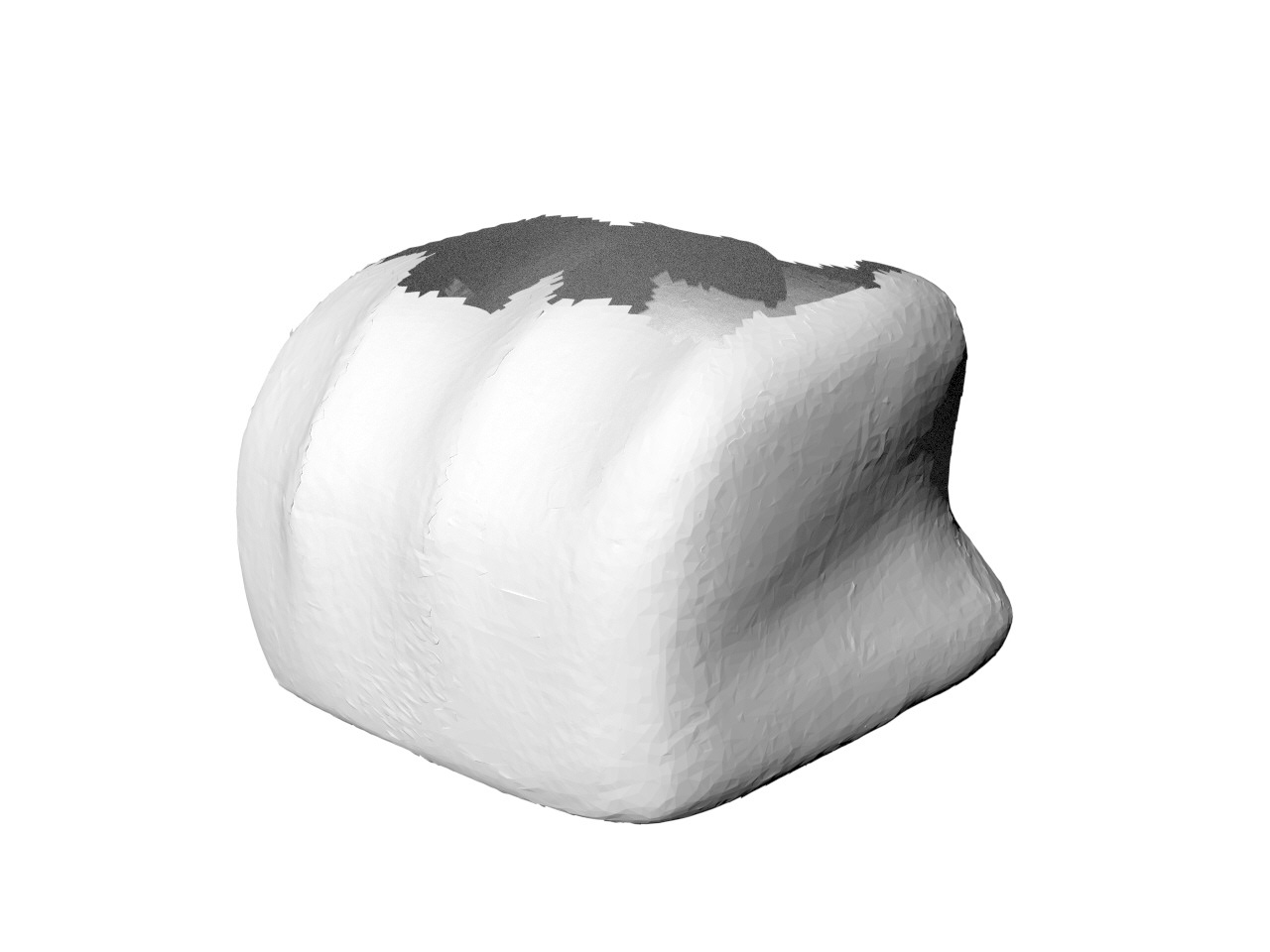 Mesh from limited 3D scanner