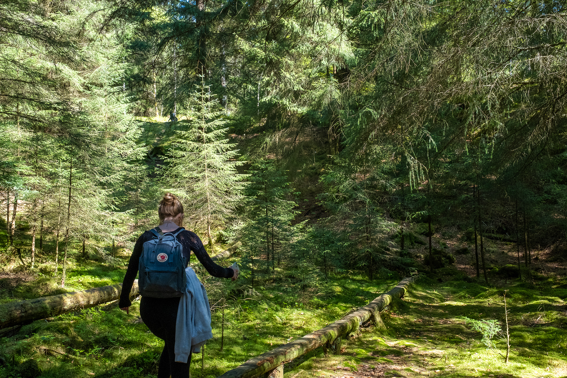 Exploring top of Mount Fløyen