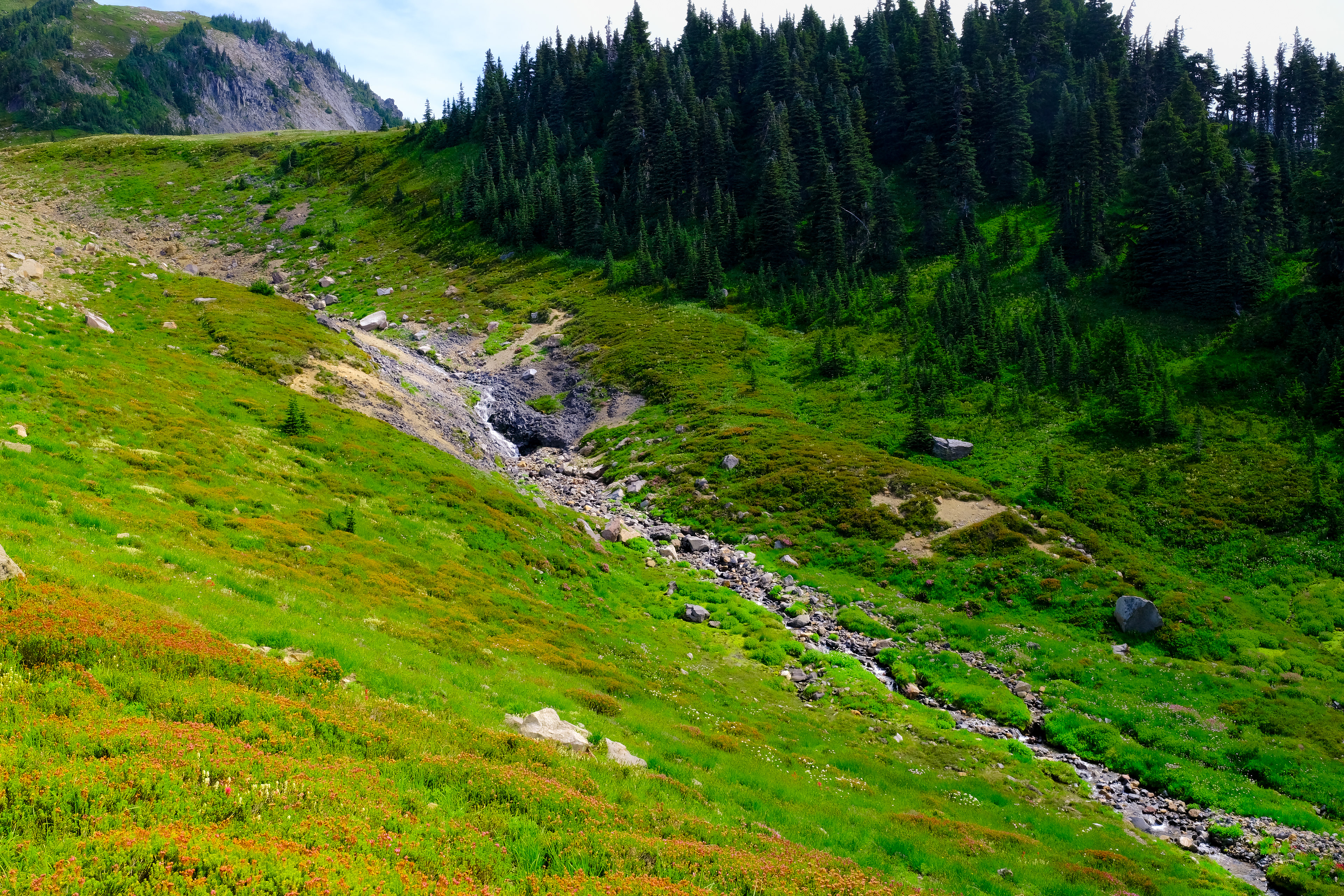 Skyline Loop @ Mount Rainier