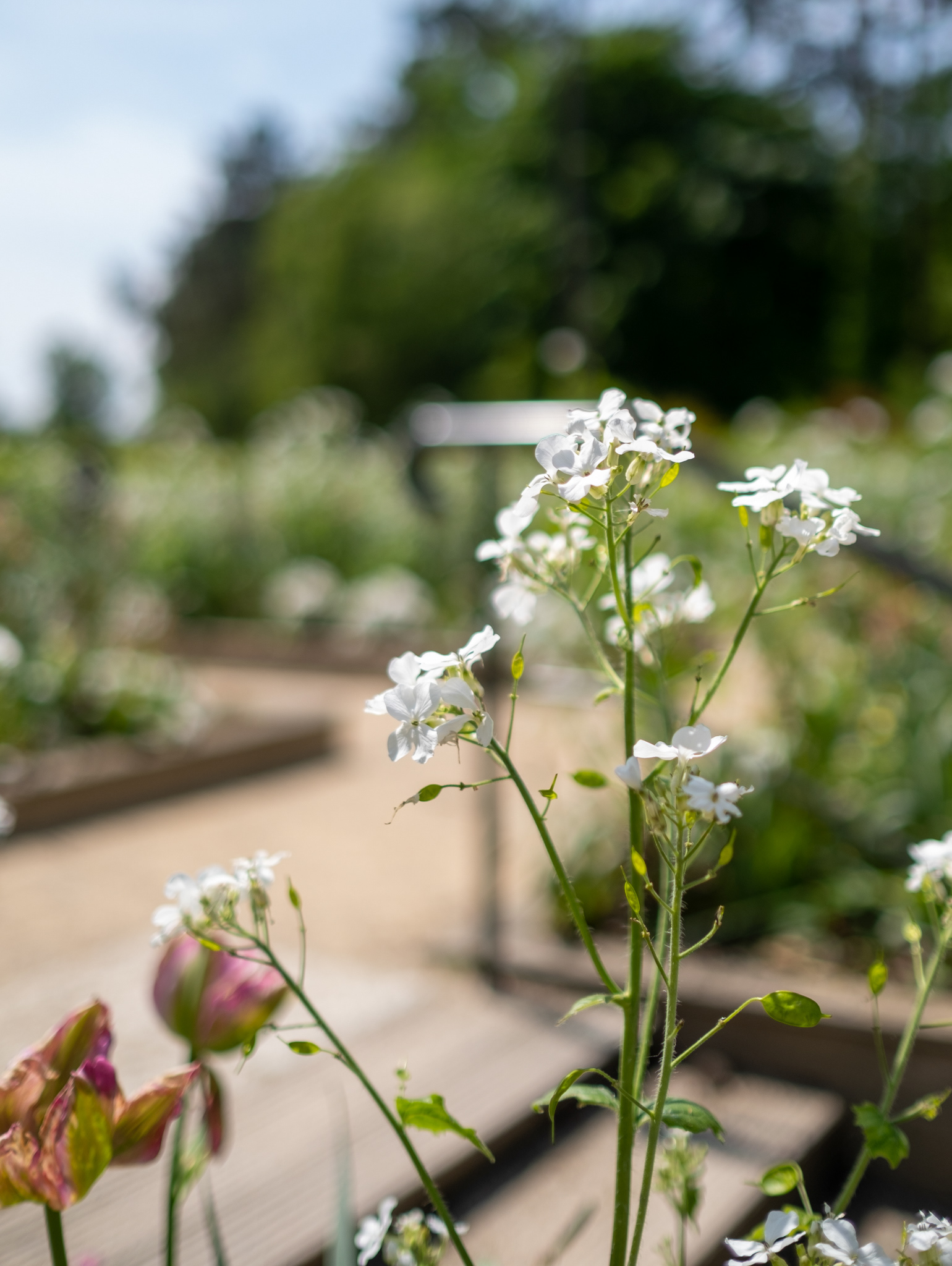 Parc Floral de Paris