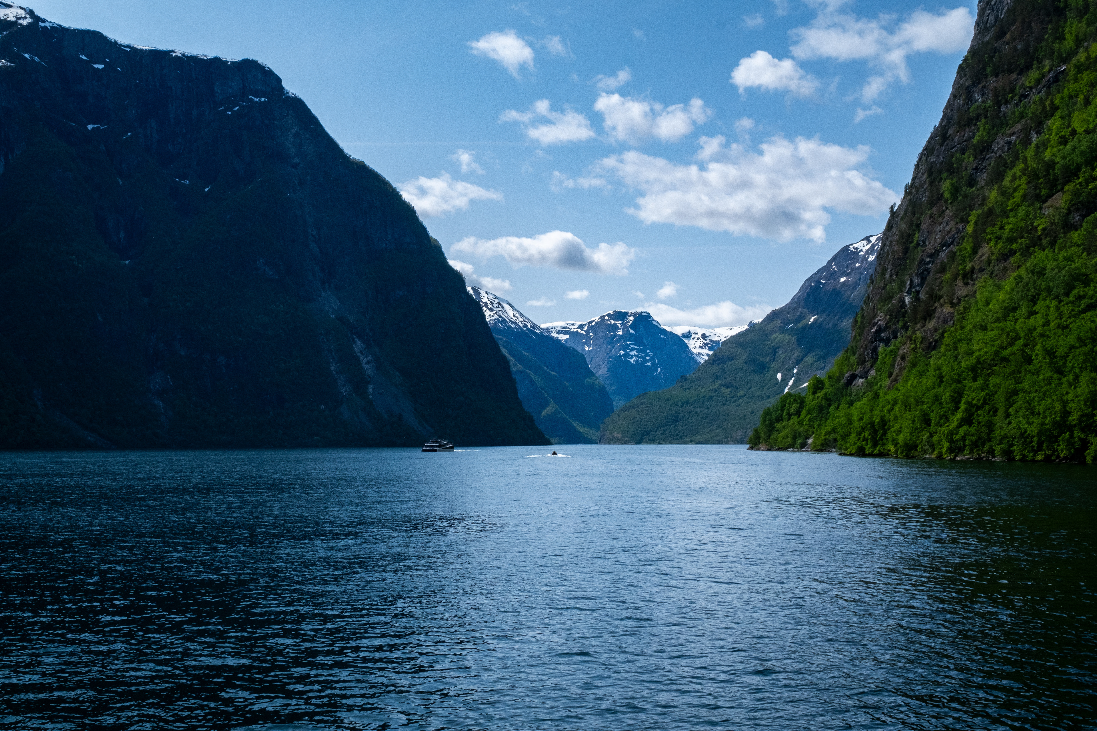 Some Fjord