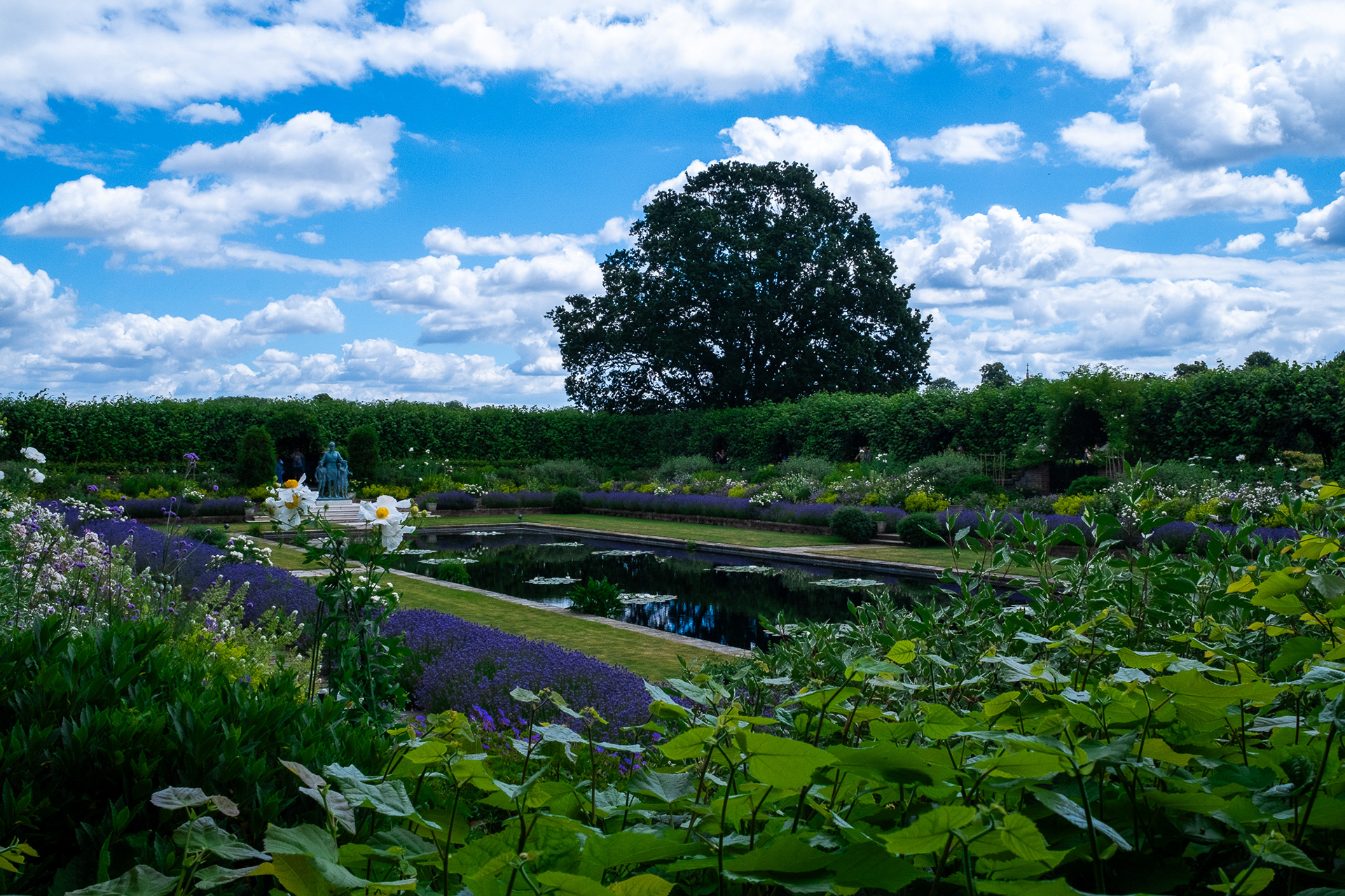 Hyde Park