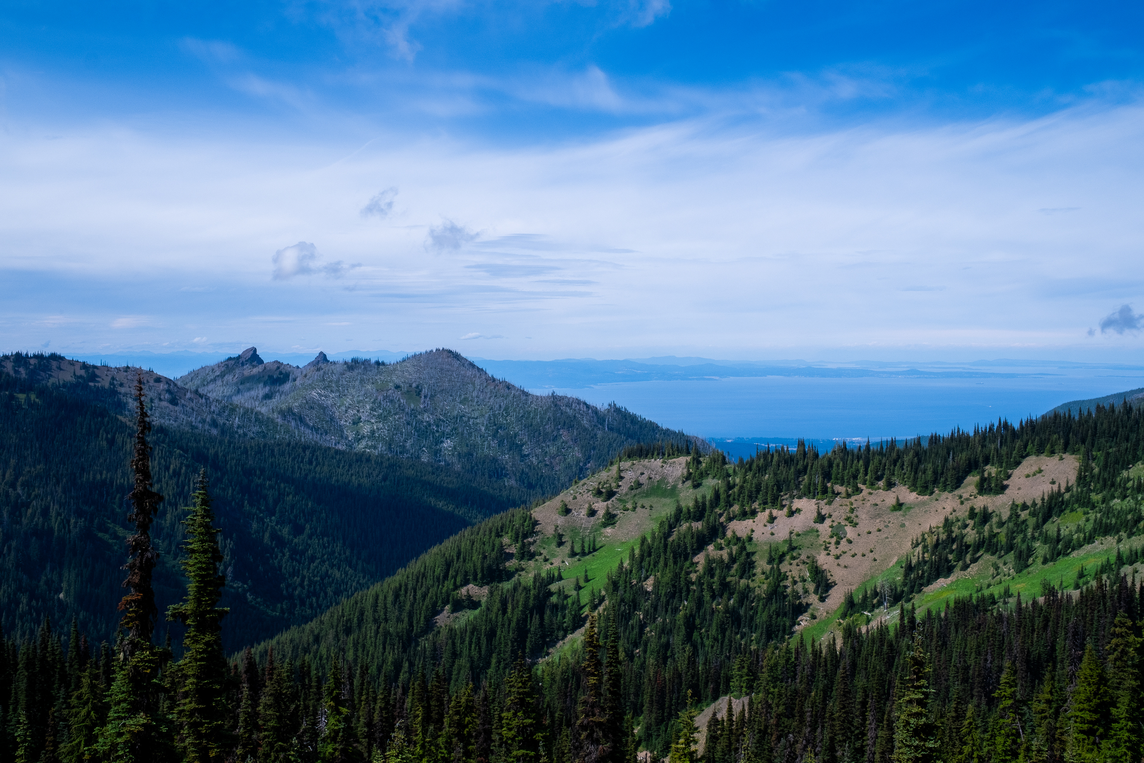 Hurricane Hill Trail @ Olympic National Park