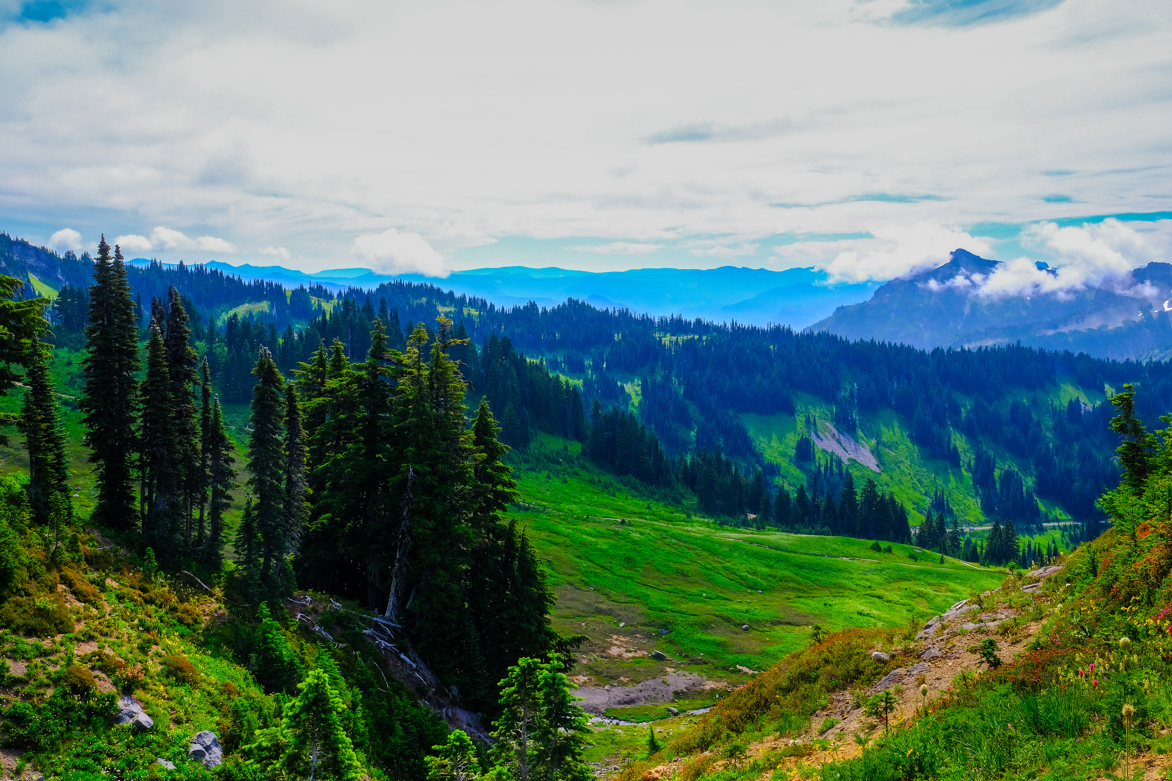 Skyline Loop @ Mount Rainier